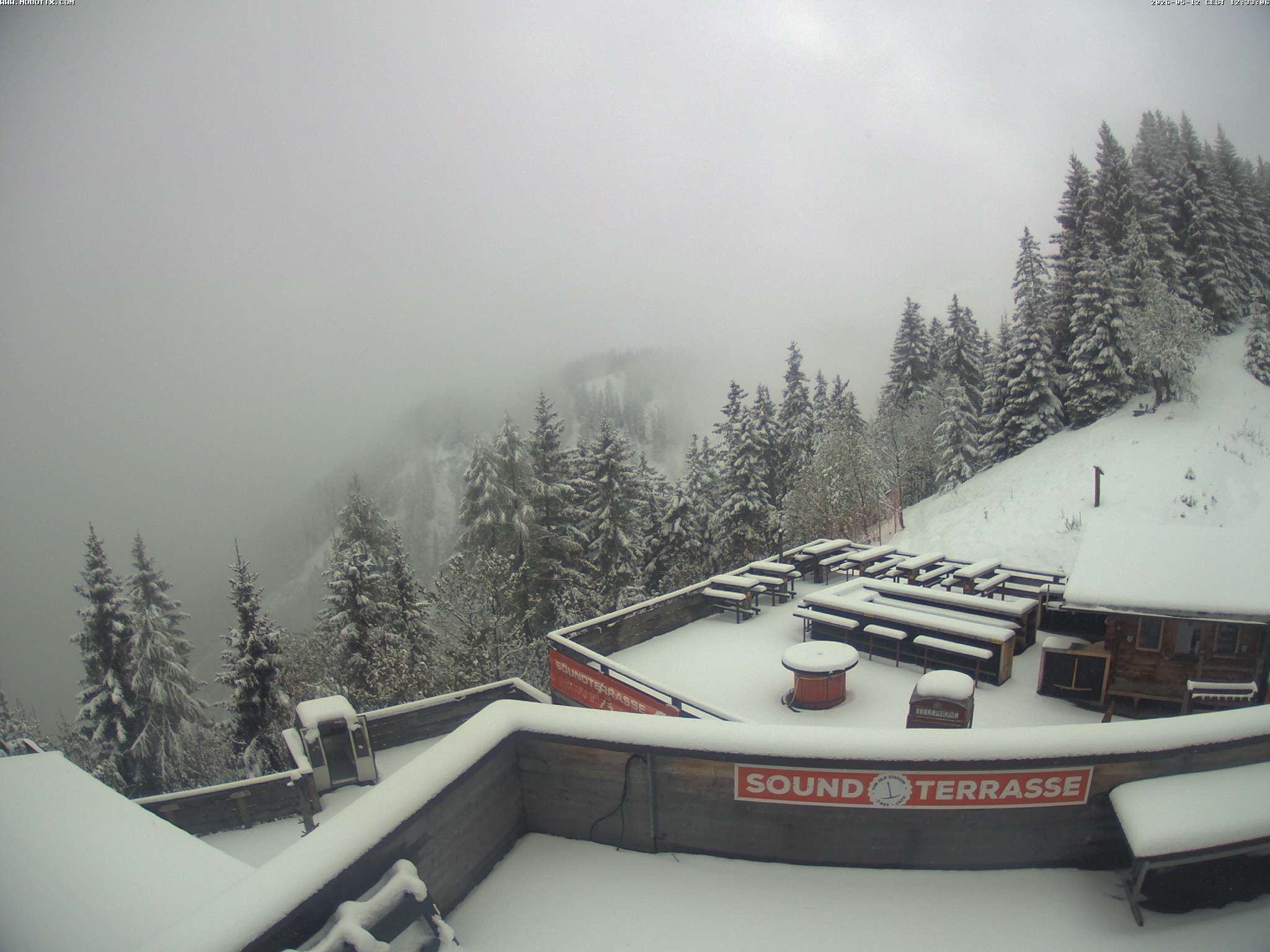 Brandnertal - Niggenkopf
