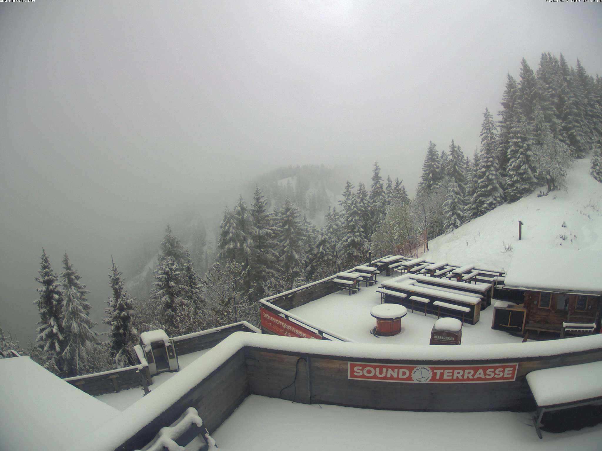 Brandnertal - Niggenkopf