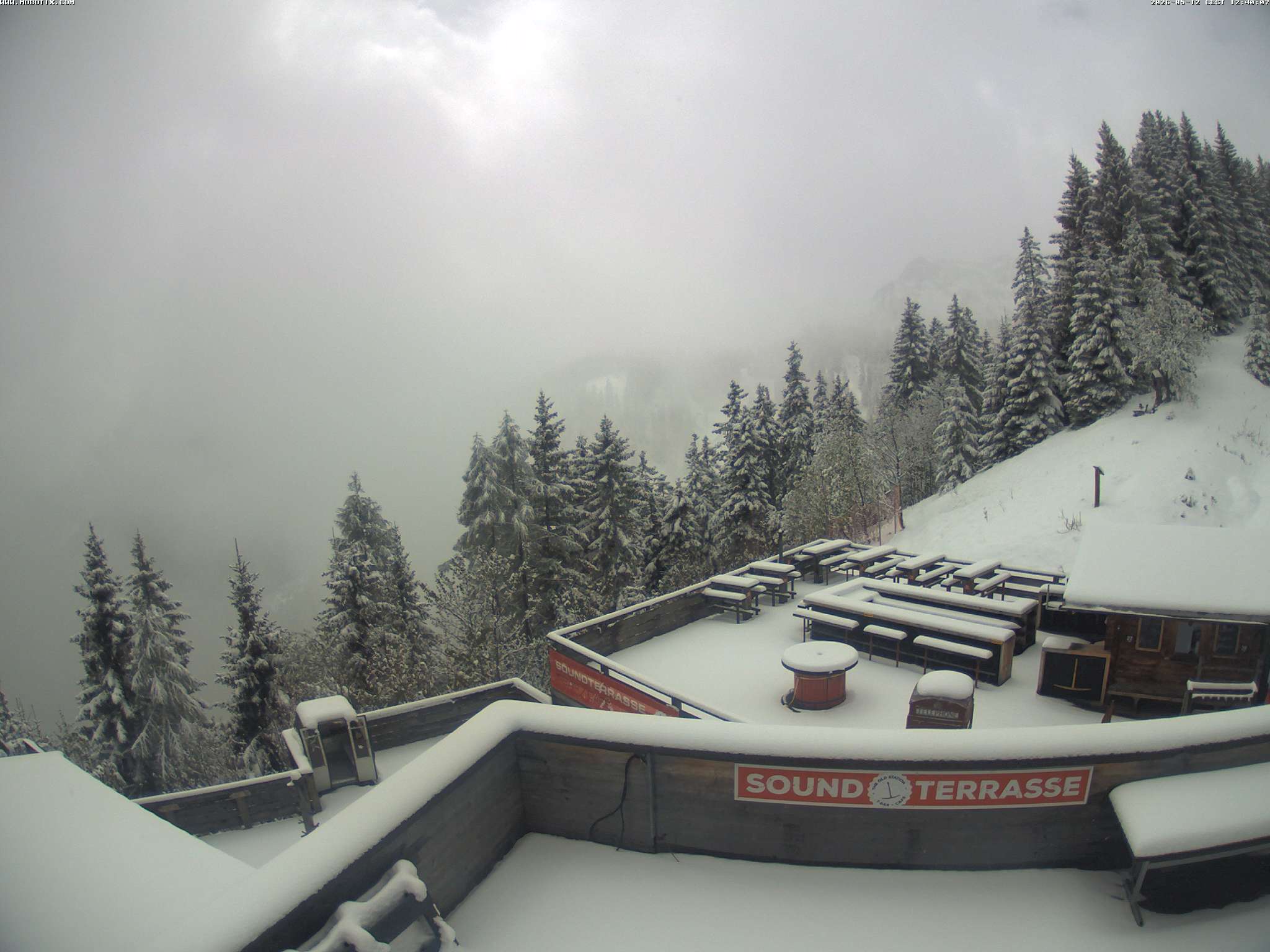 Brandnertal - Niggenkopf