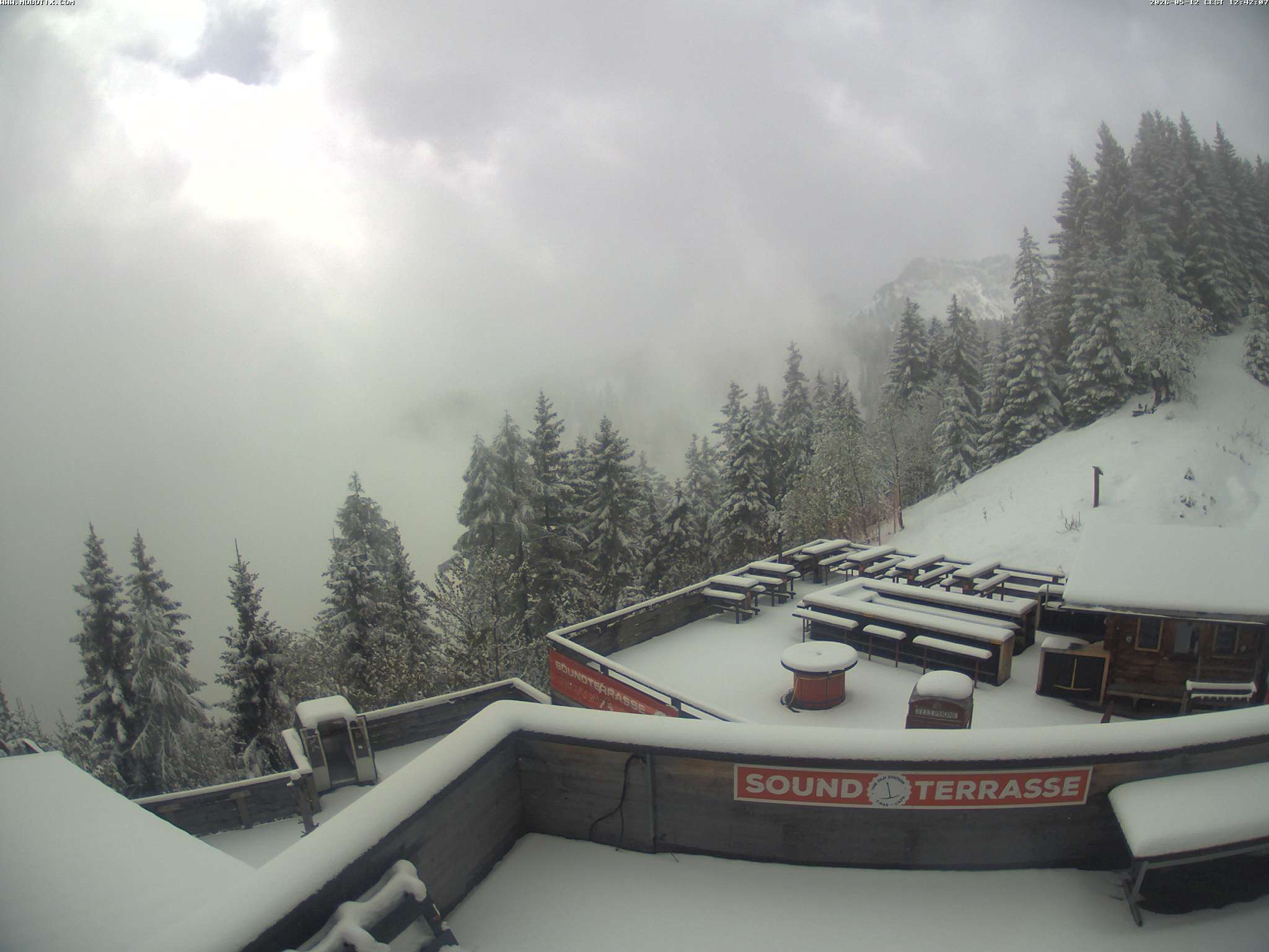 Brandnertal - Niggenkopf