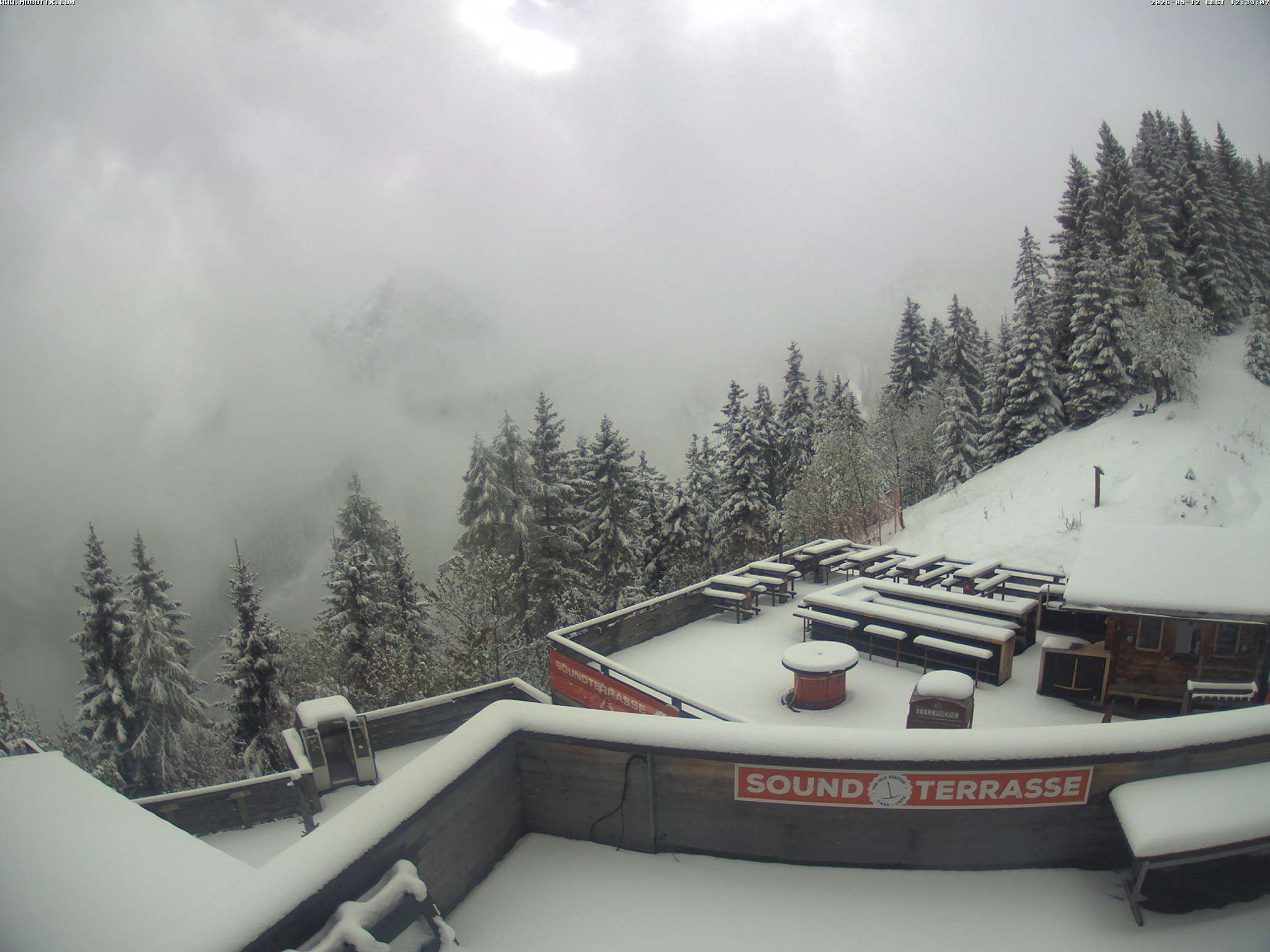 Brandnertal - Niggenkopf