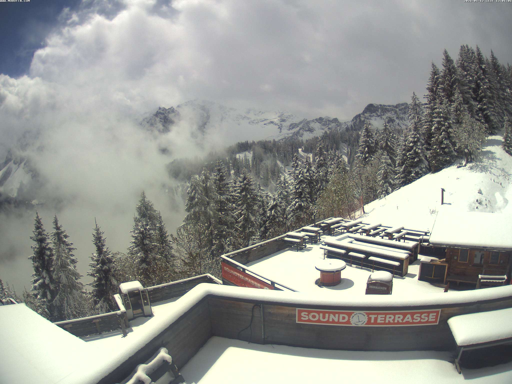 Brandnertal - Niggenkopf