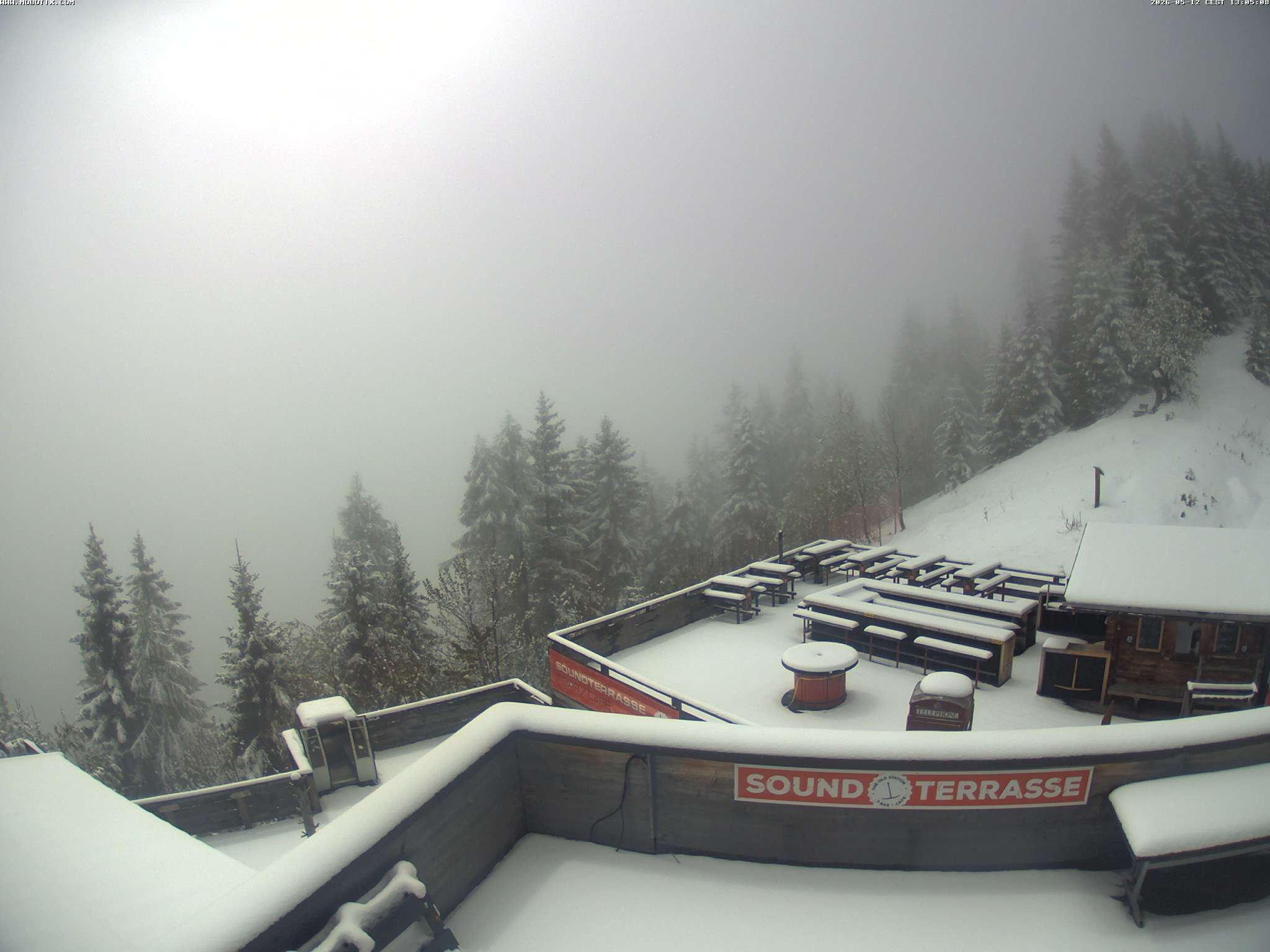 Brandnertal - Niggenkopf