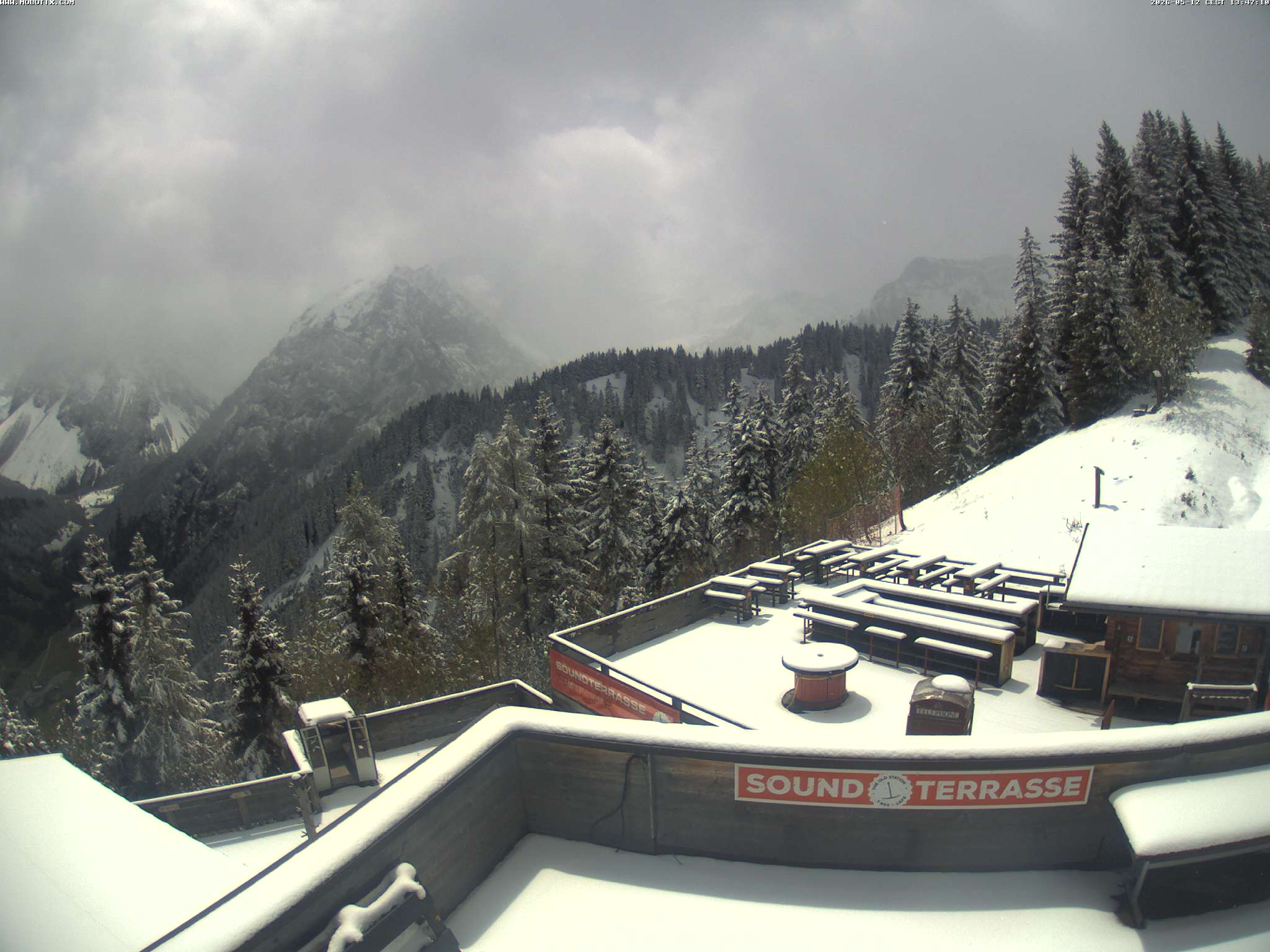 Brandnertal - Niggenkopf