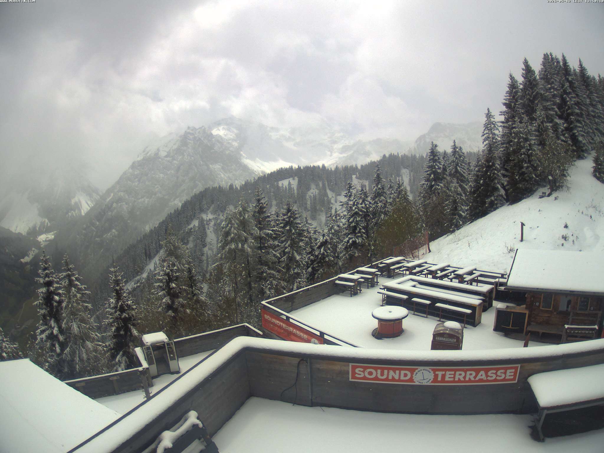 Brandnertal - Niggenkopf