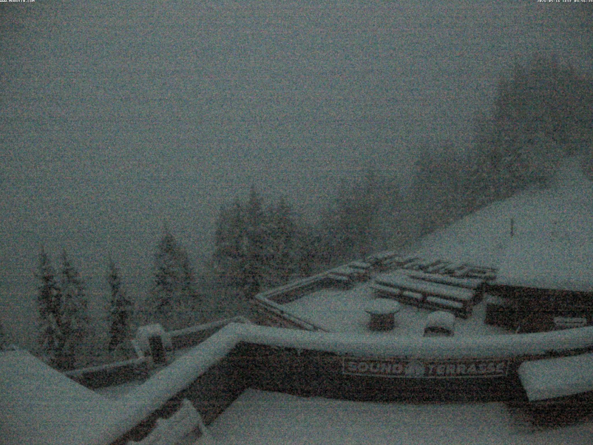 Brandnertal - Niggenkopf