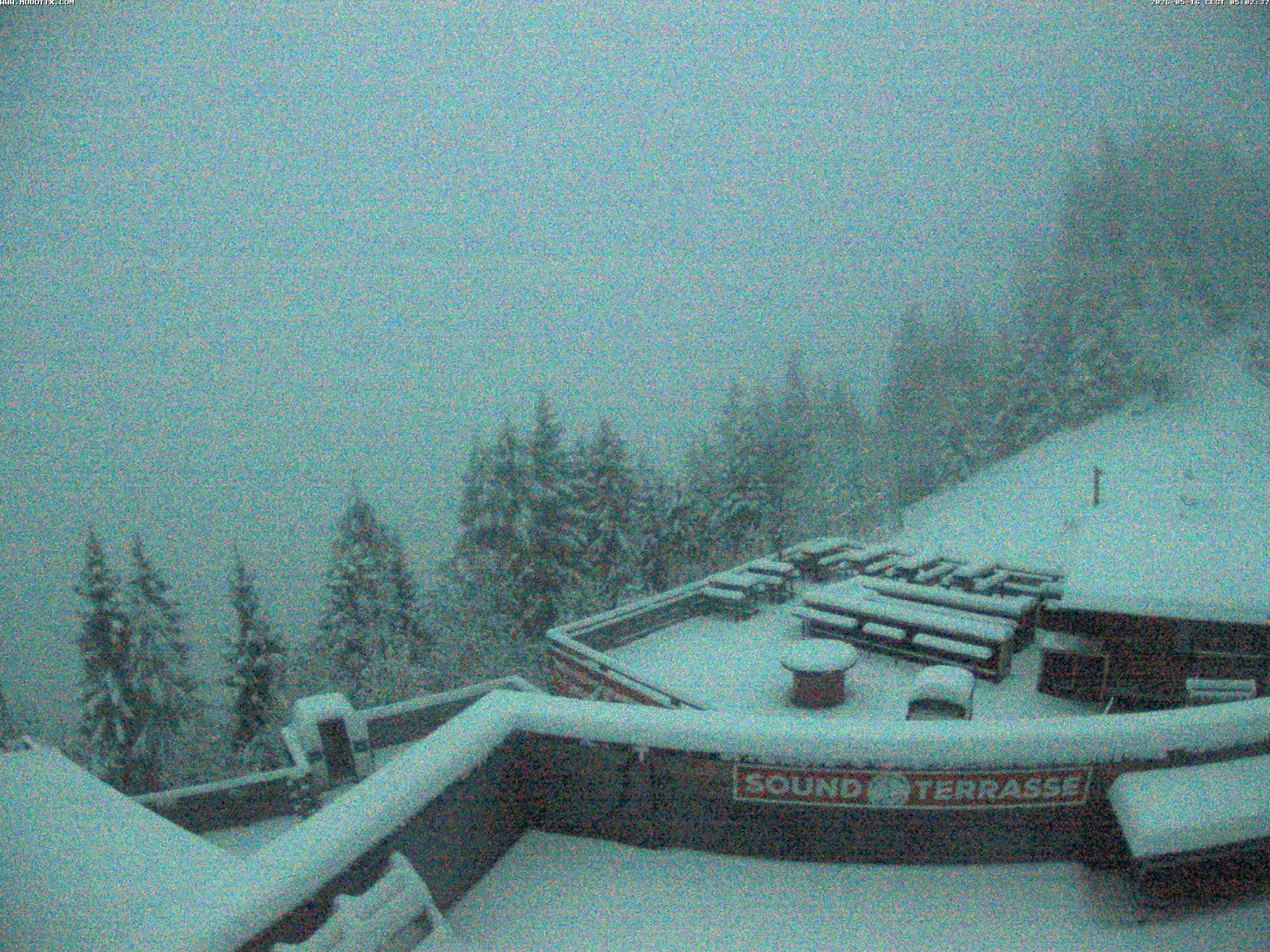 Brandnertal - Niggenkopf