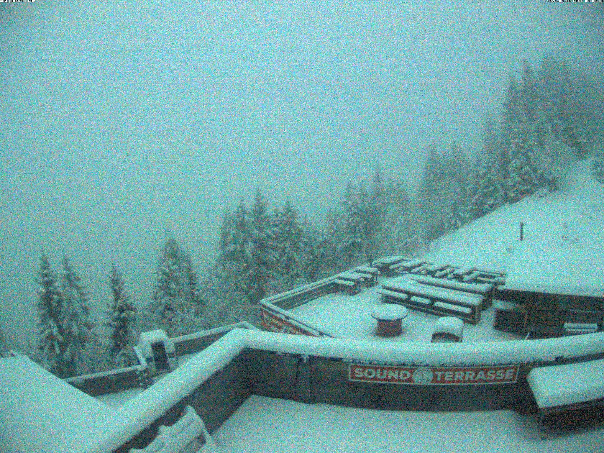 Brandnertal - Niggenkopf