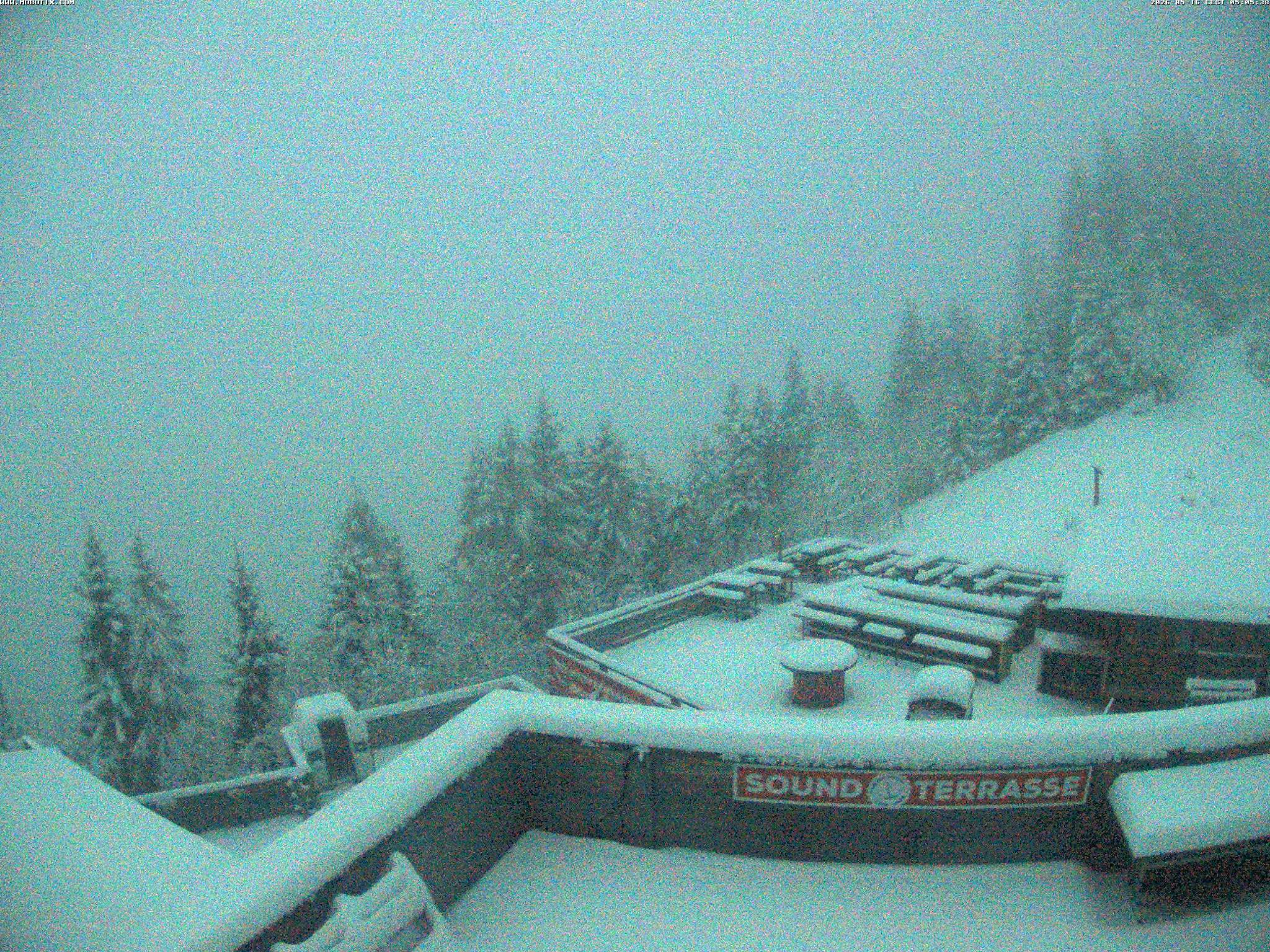 Brandnertal - Niggenkopf