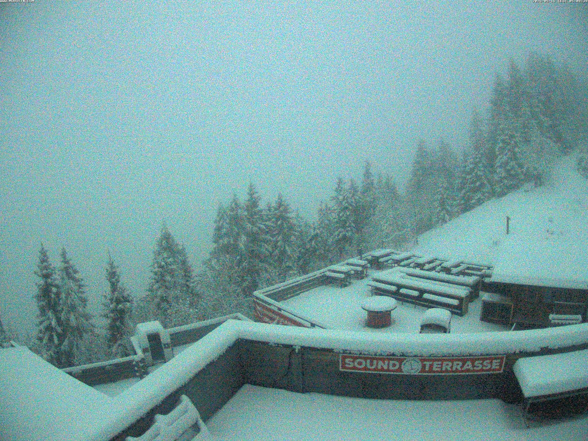 Brandnertal - Niggenkopf