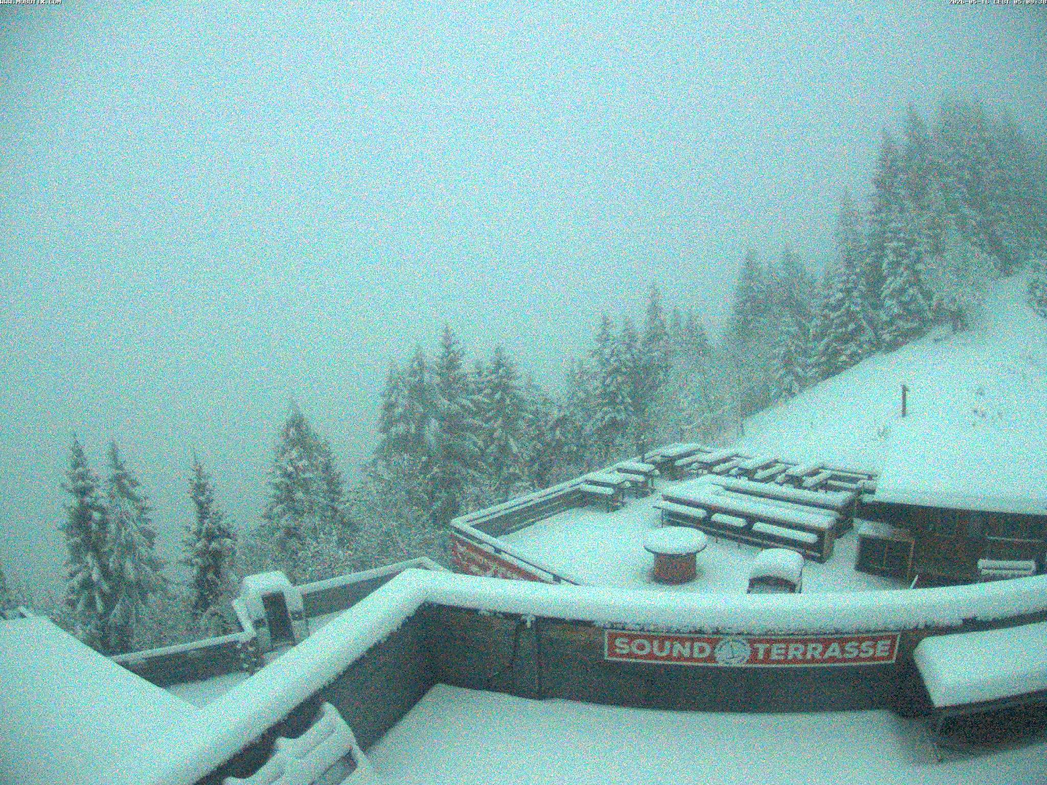 Brandnertal - Niggenkopf