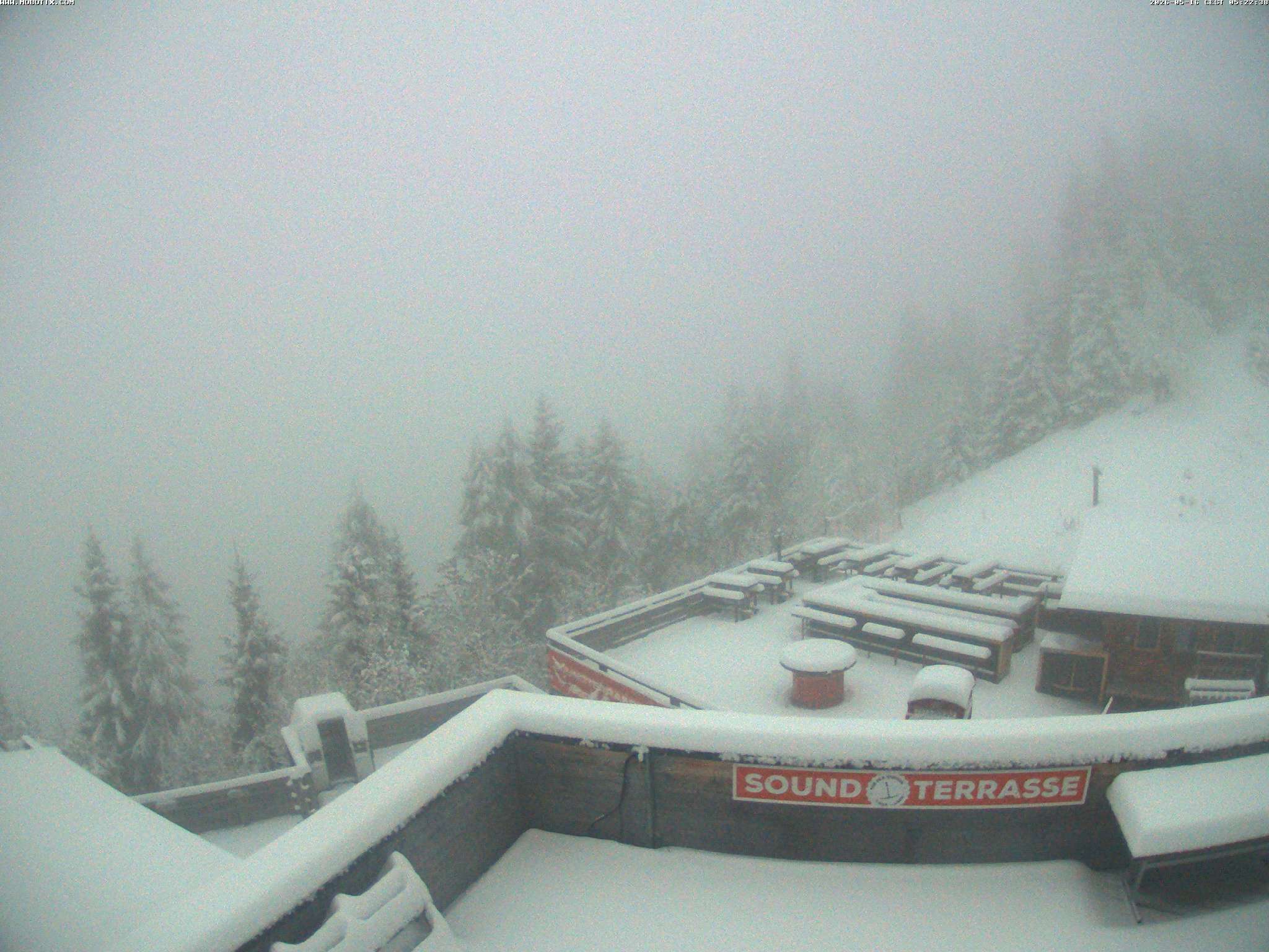 Brandnertal - Niggenkopf