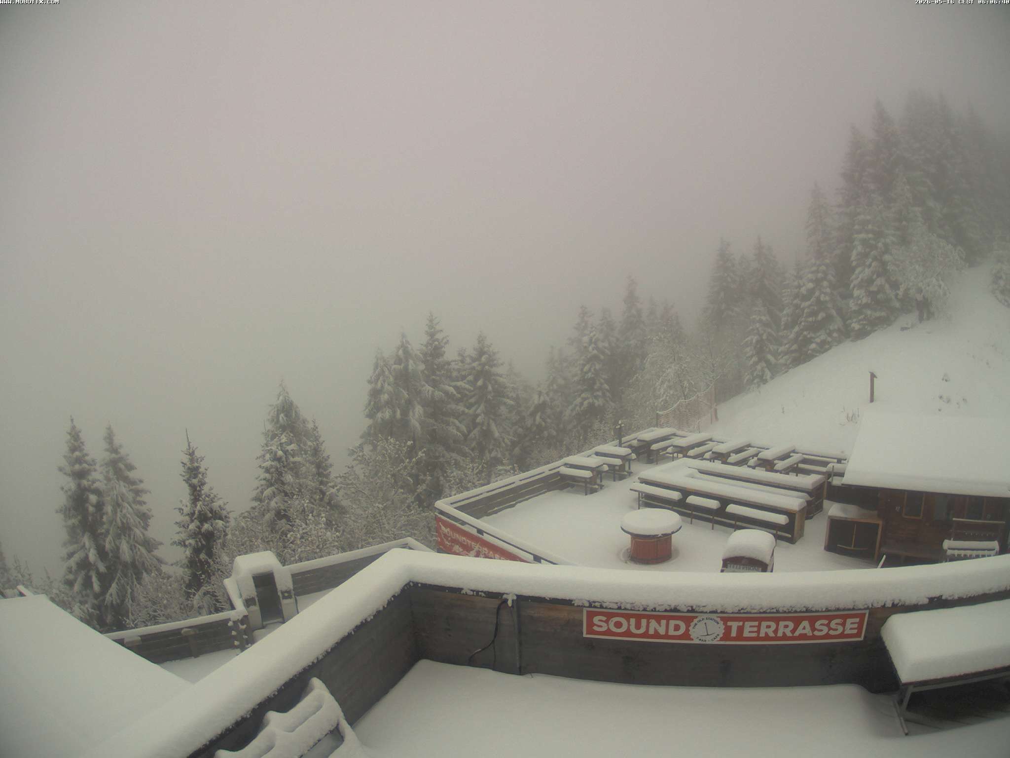 Brandnertal - Niggenkopf