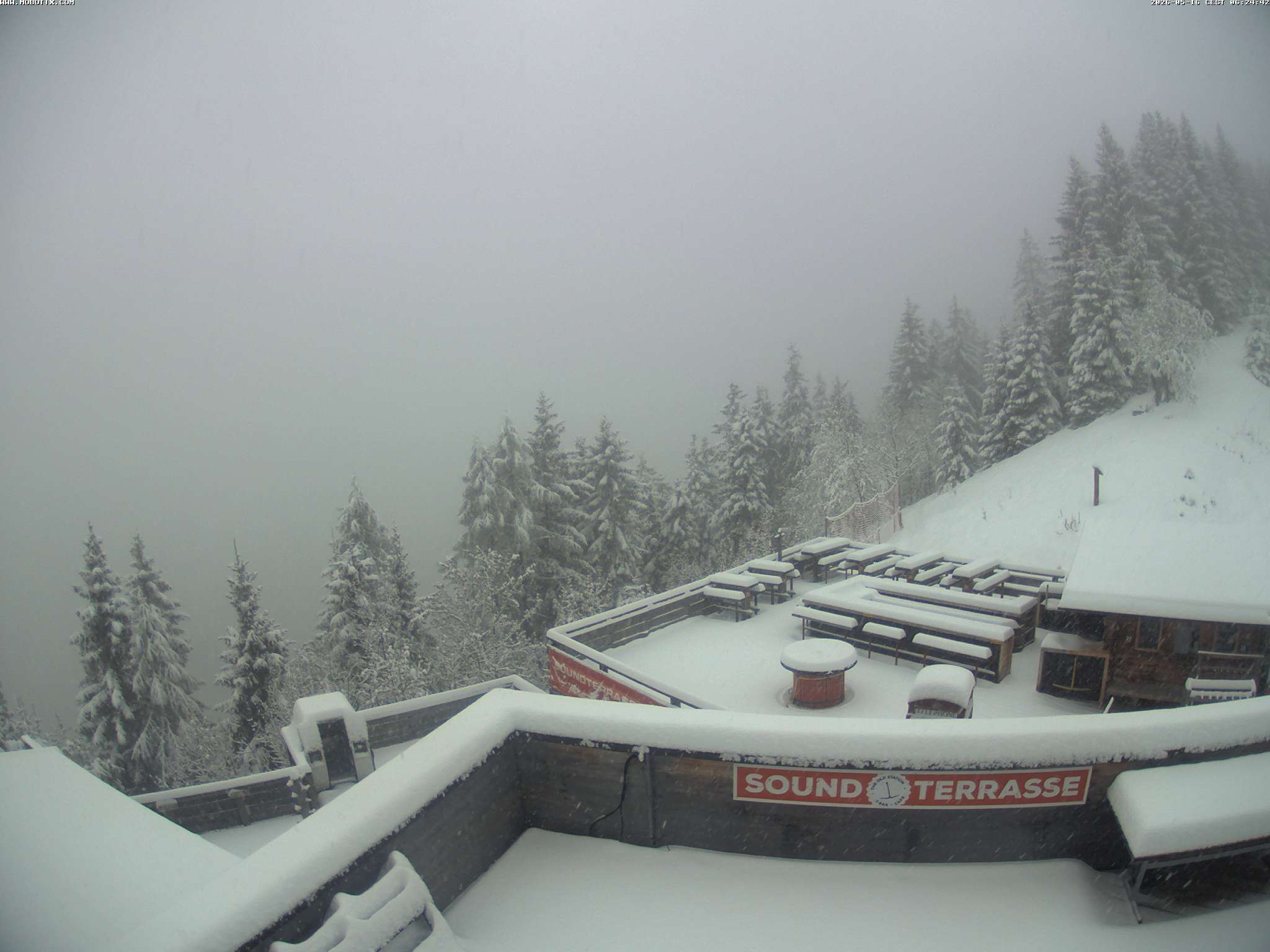 Brandnertal - Niggenkopf