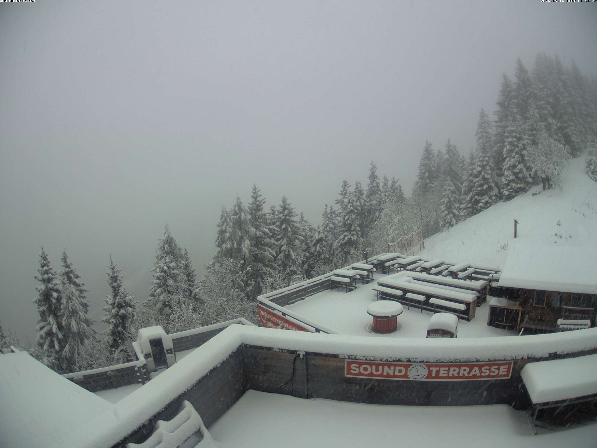 Brandnertal - Niggenkopf