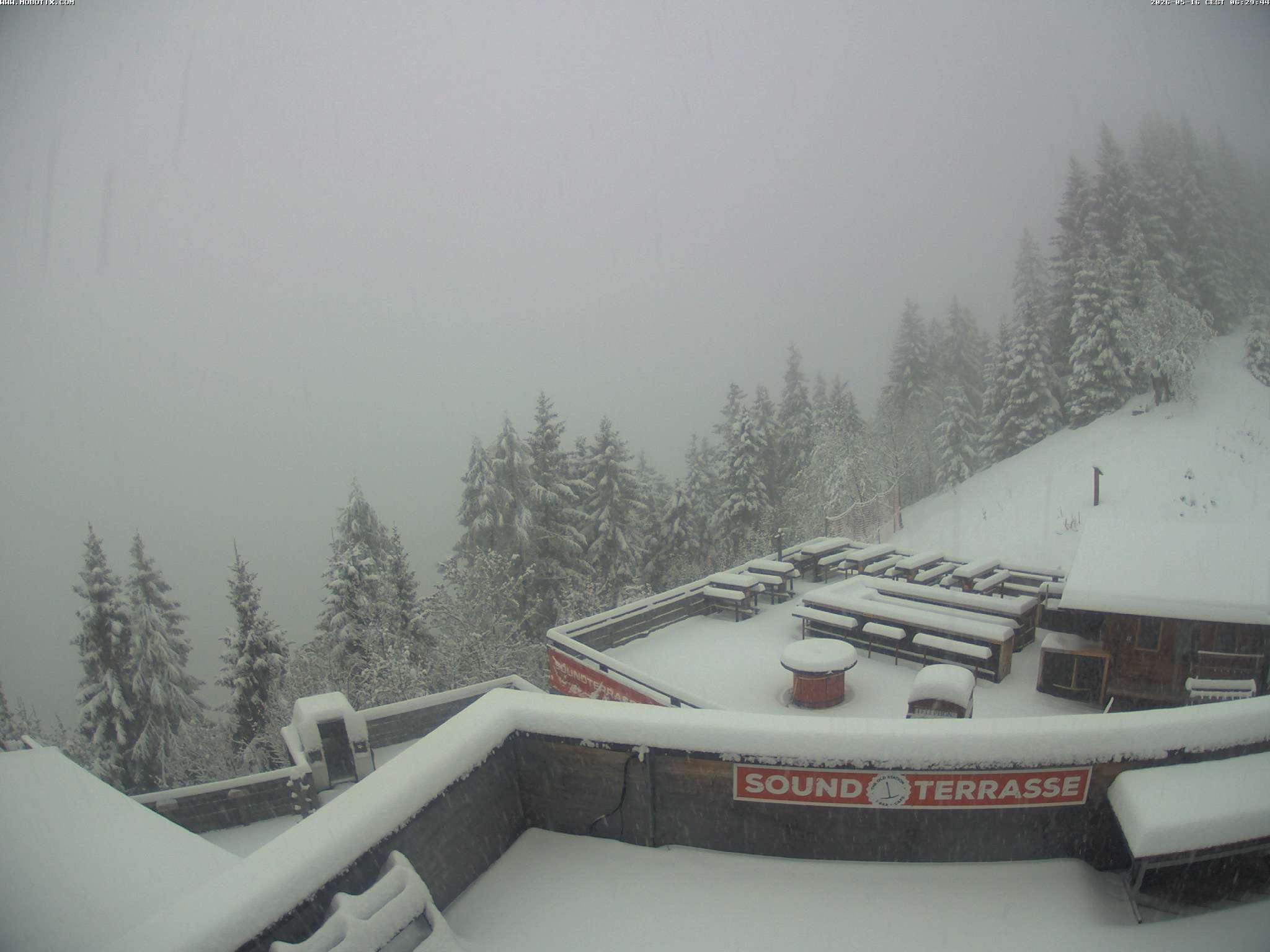 Brandnertal - Niggenkopf