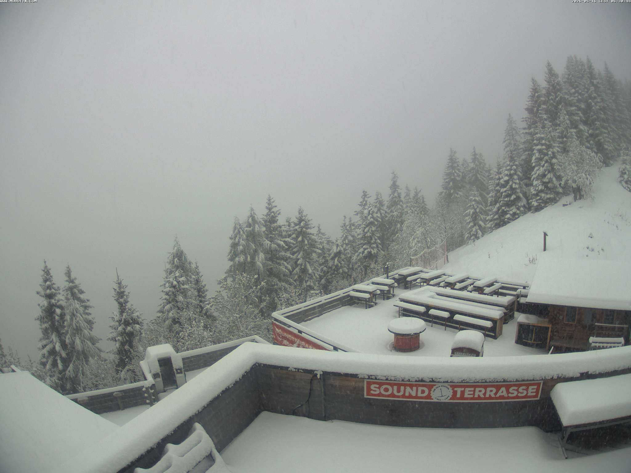 Brandnertal - Niggenkopf