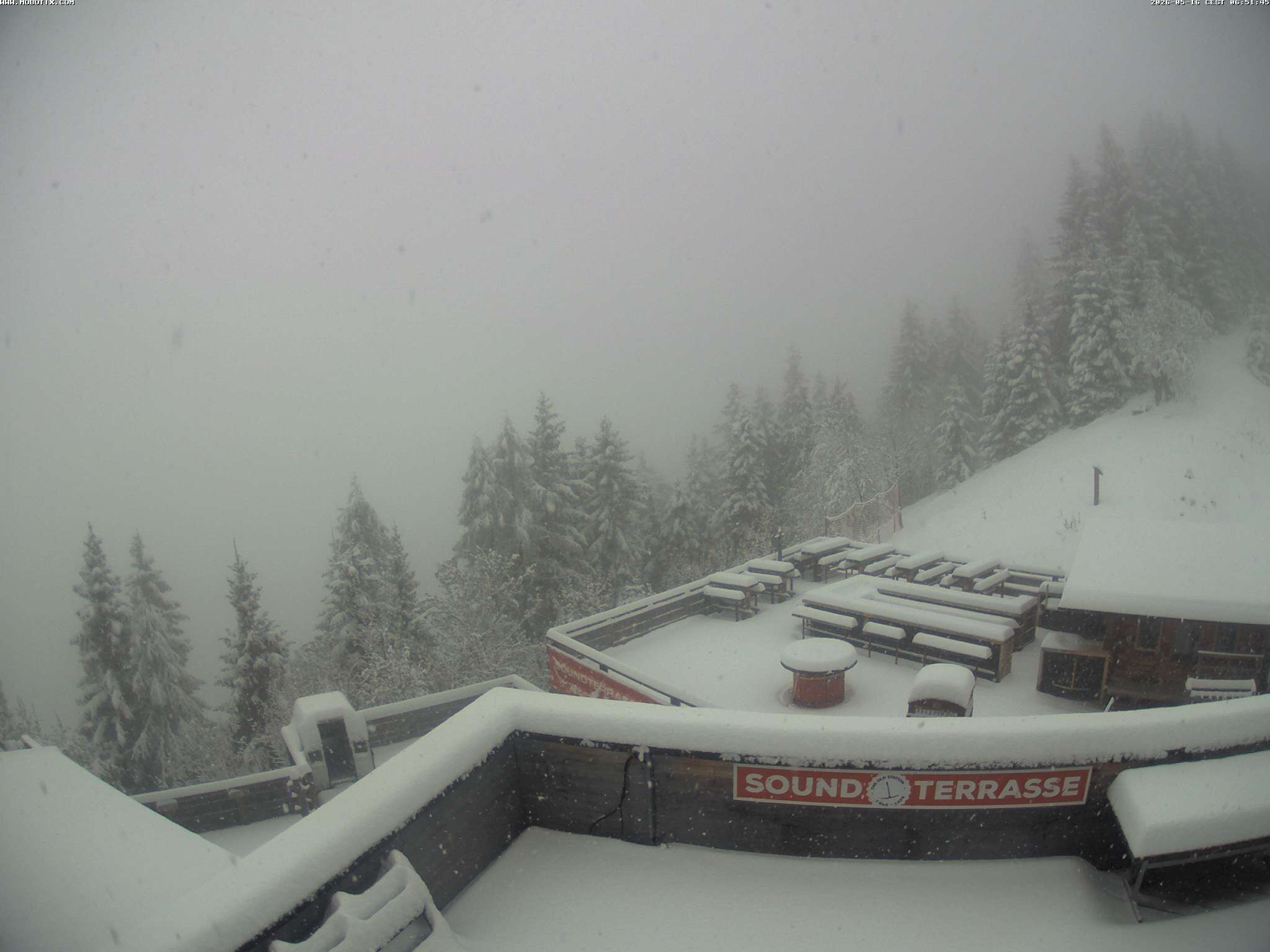Brandnertal - Niggenkopf