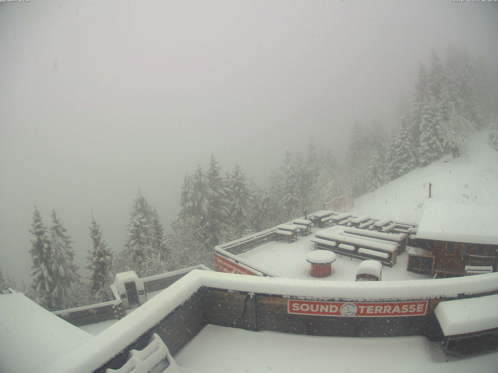 Brandnertal - Niggenkopf