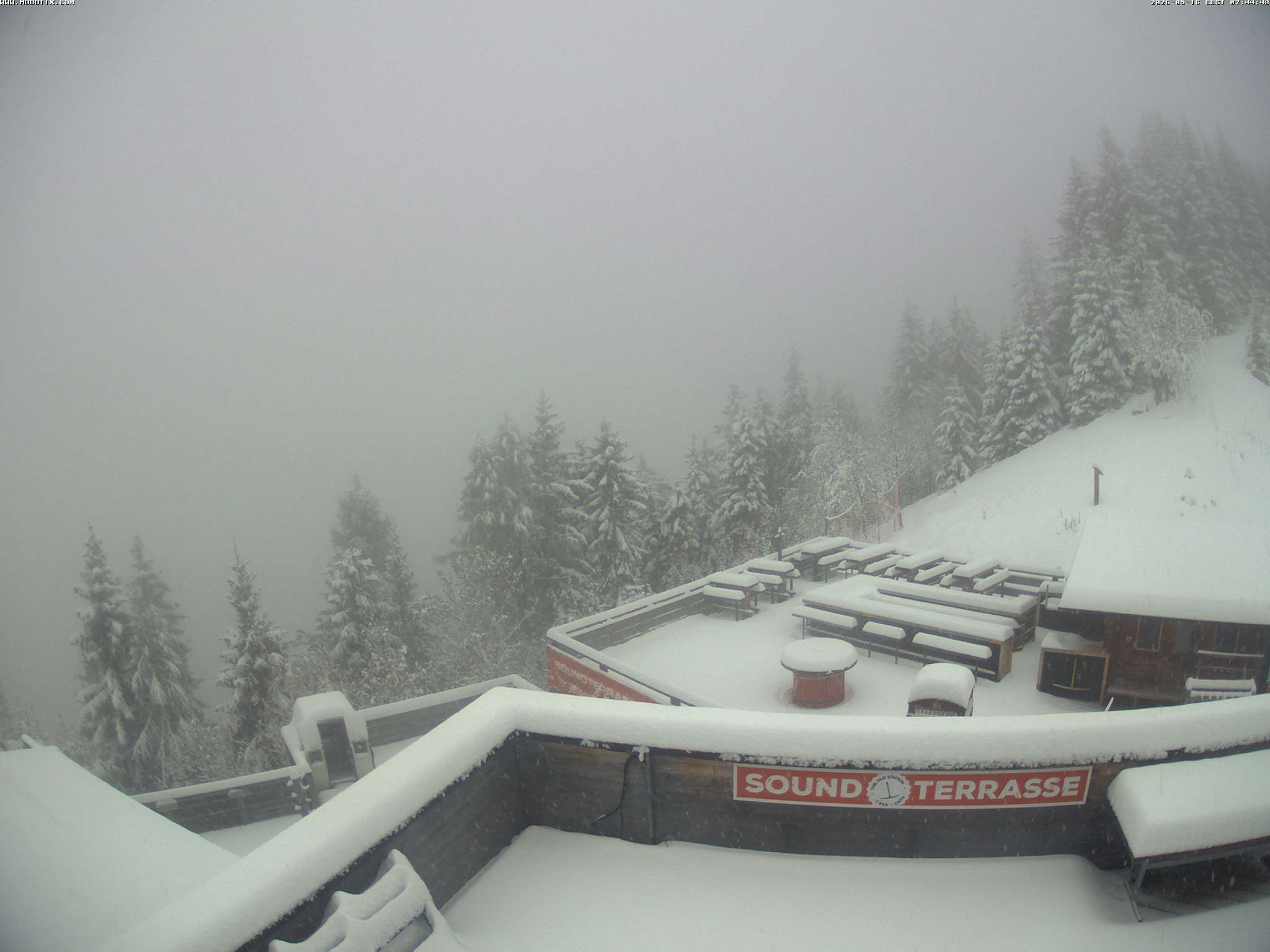 Brandnertal - Niggenkopf