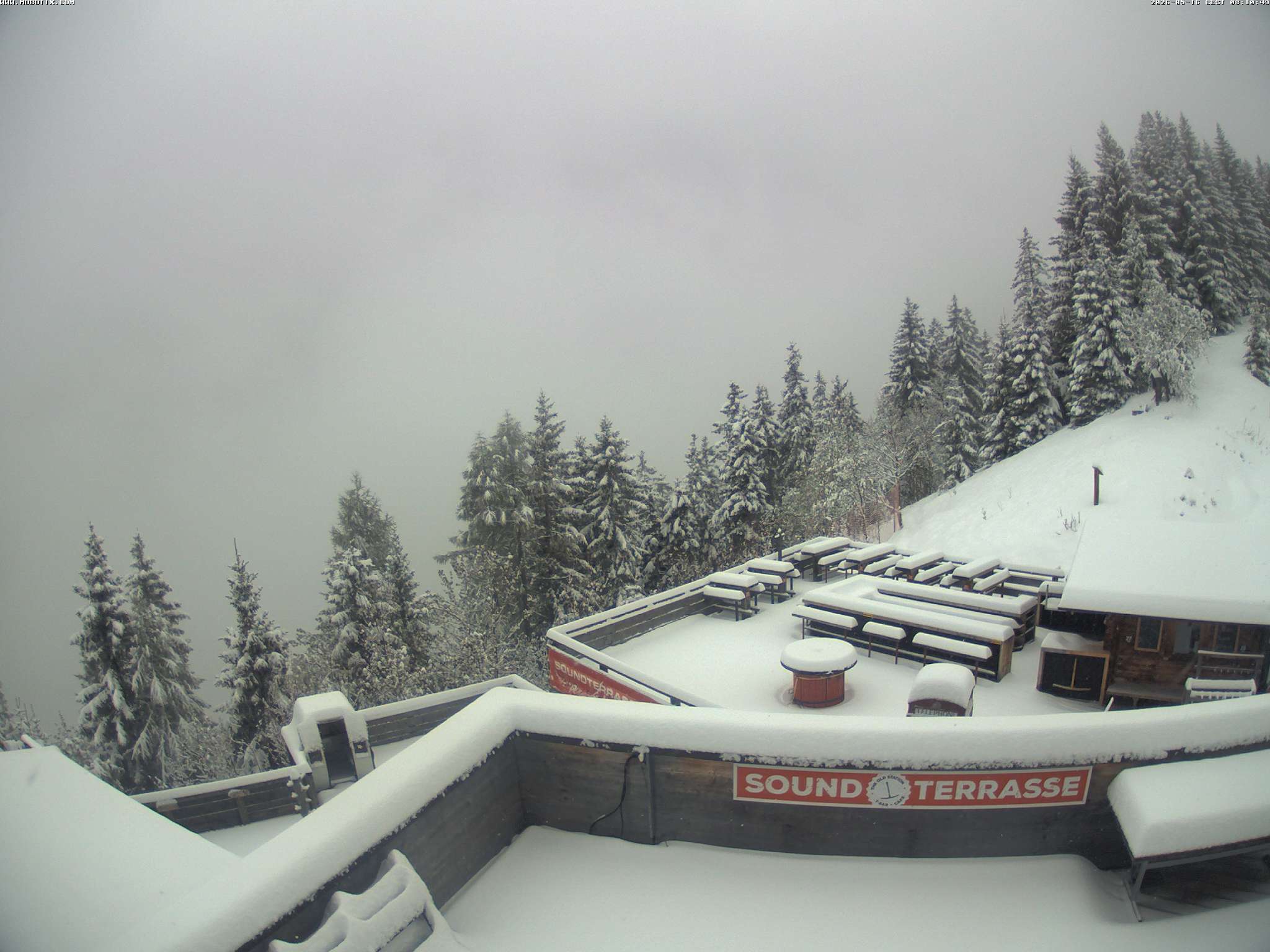 Brandnertal - Niggenkopf
