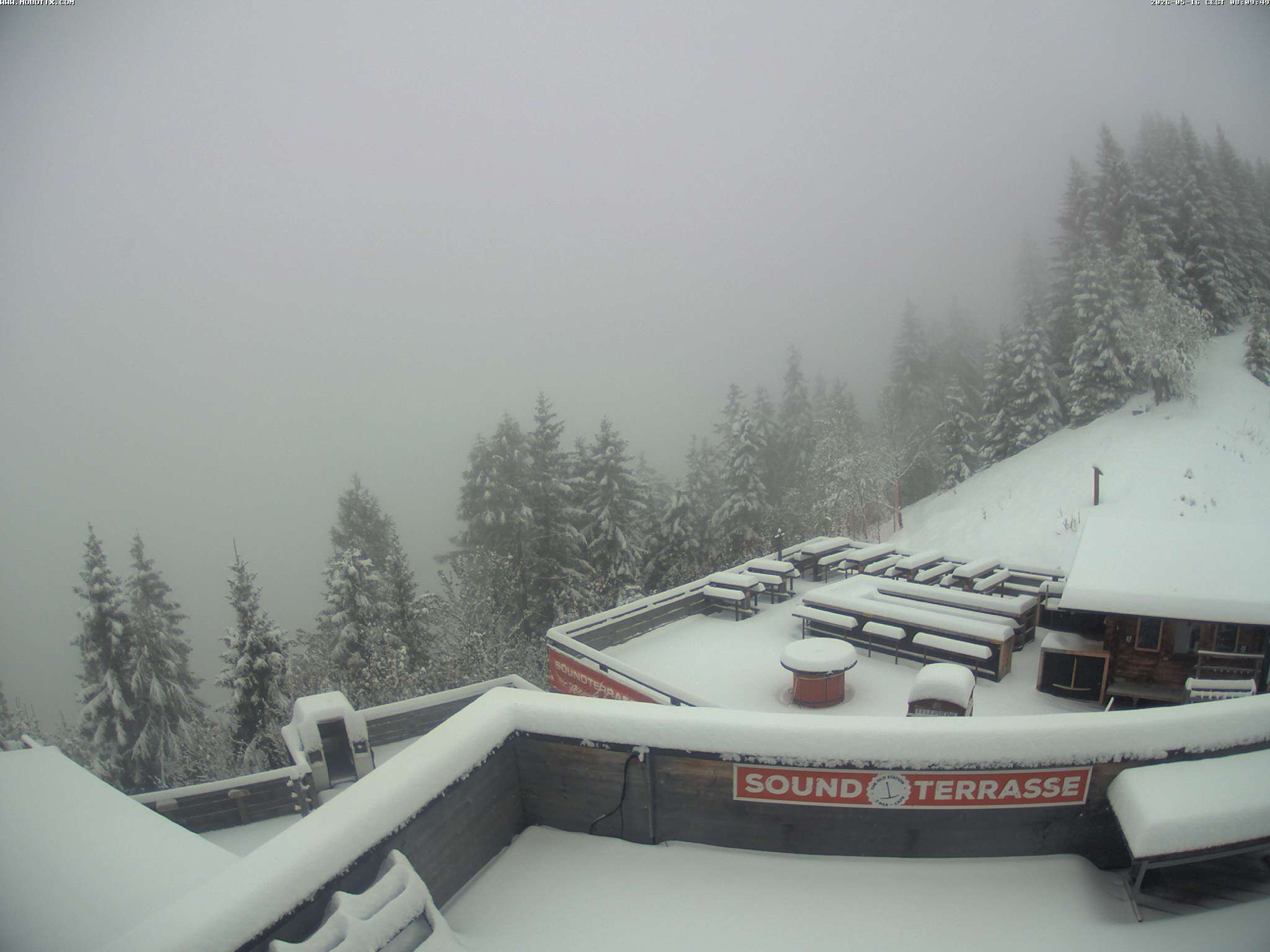 Brandnertal - Niggenkopf