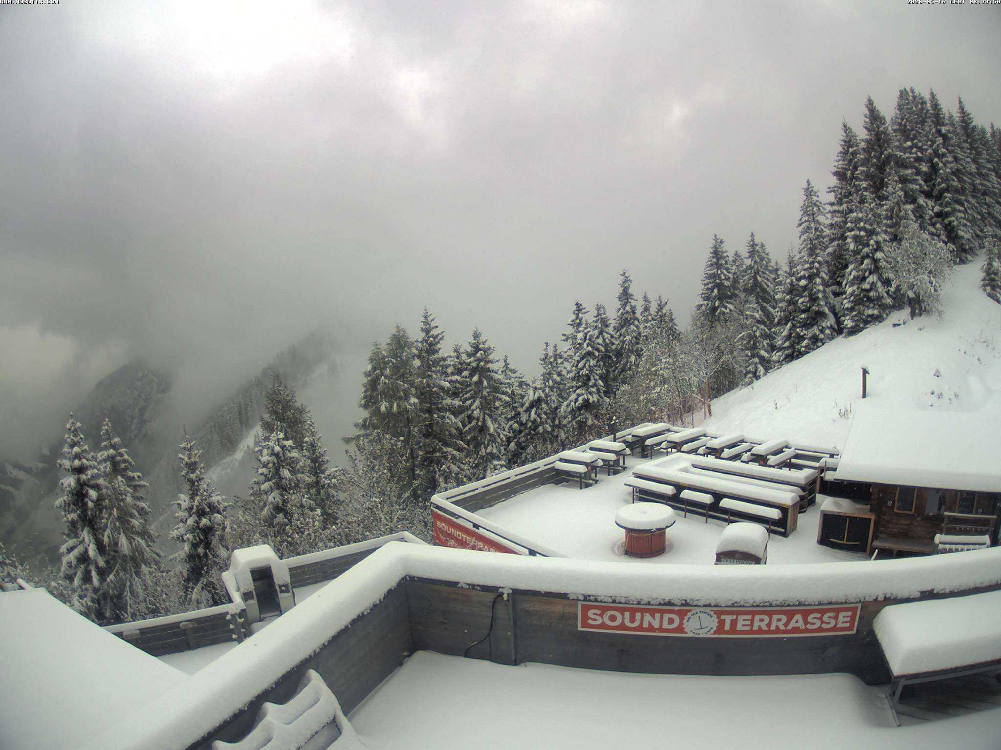 Brandnertal - Niggenkopf