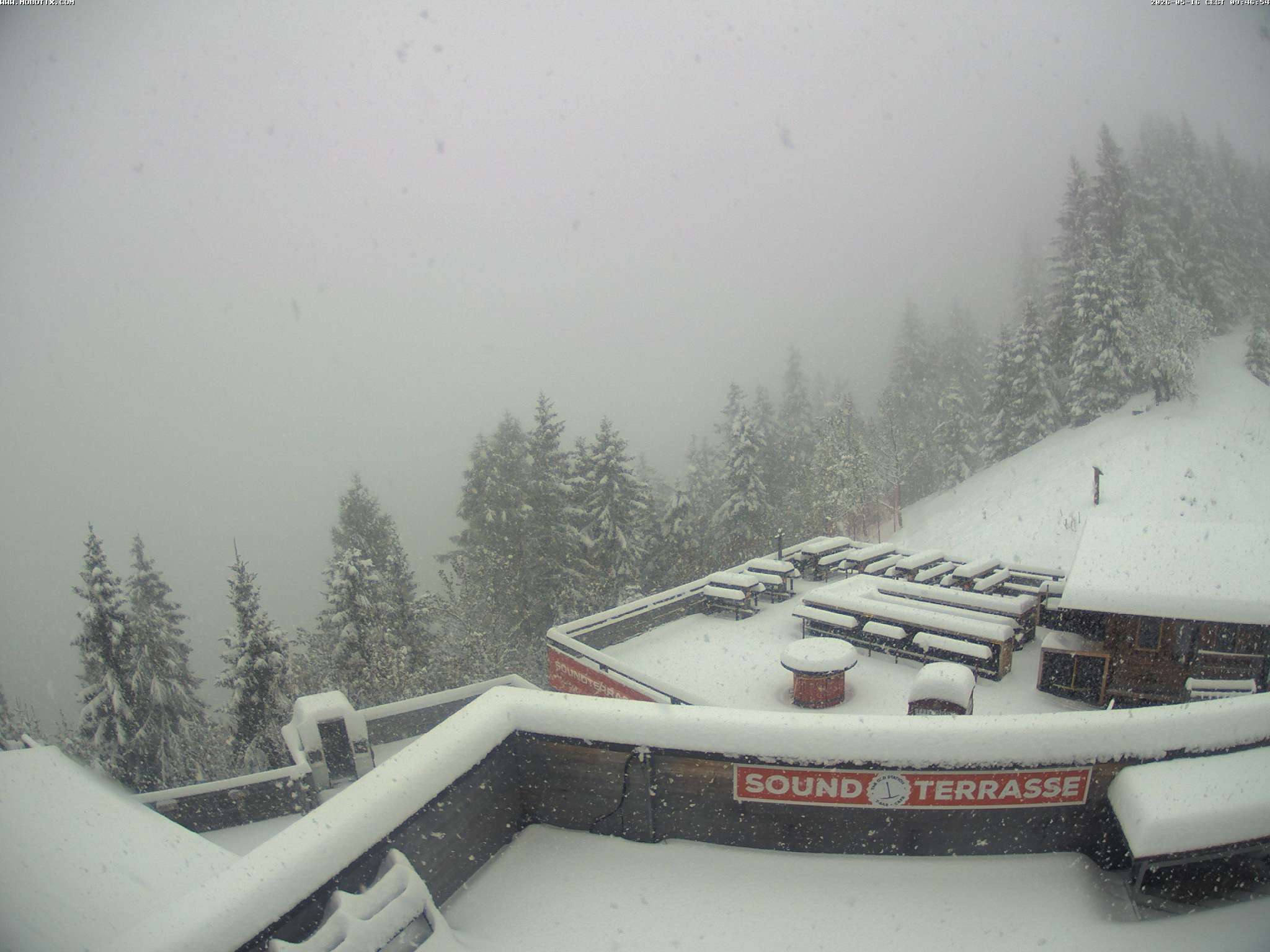 Brandnertal - Niggenkopf