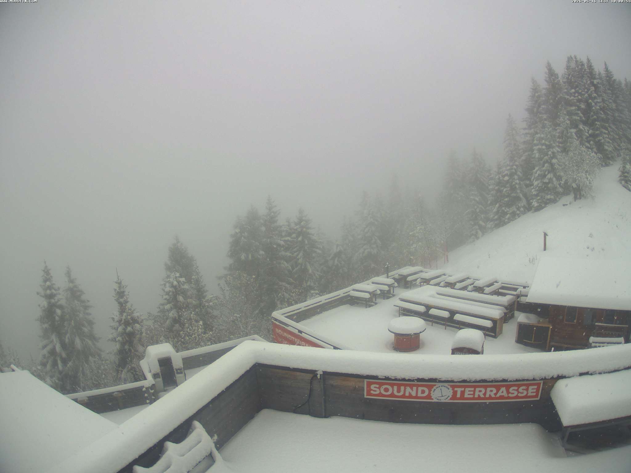 Brandnertal - Niggenkopf