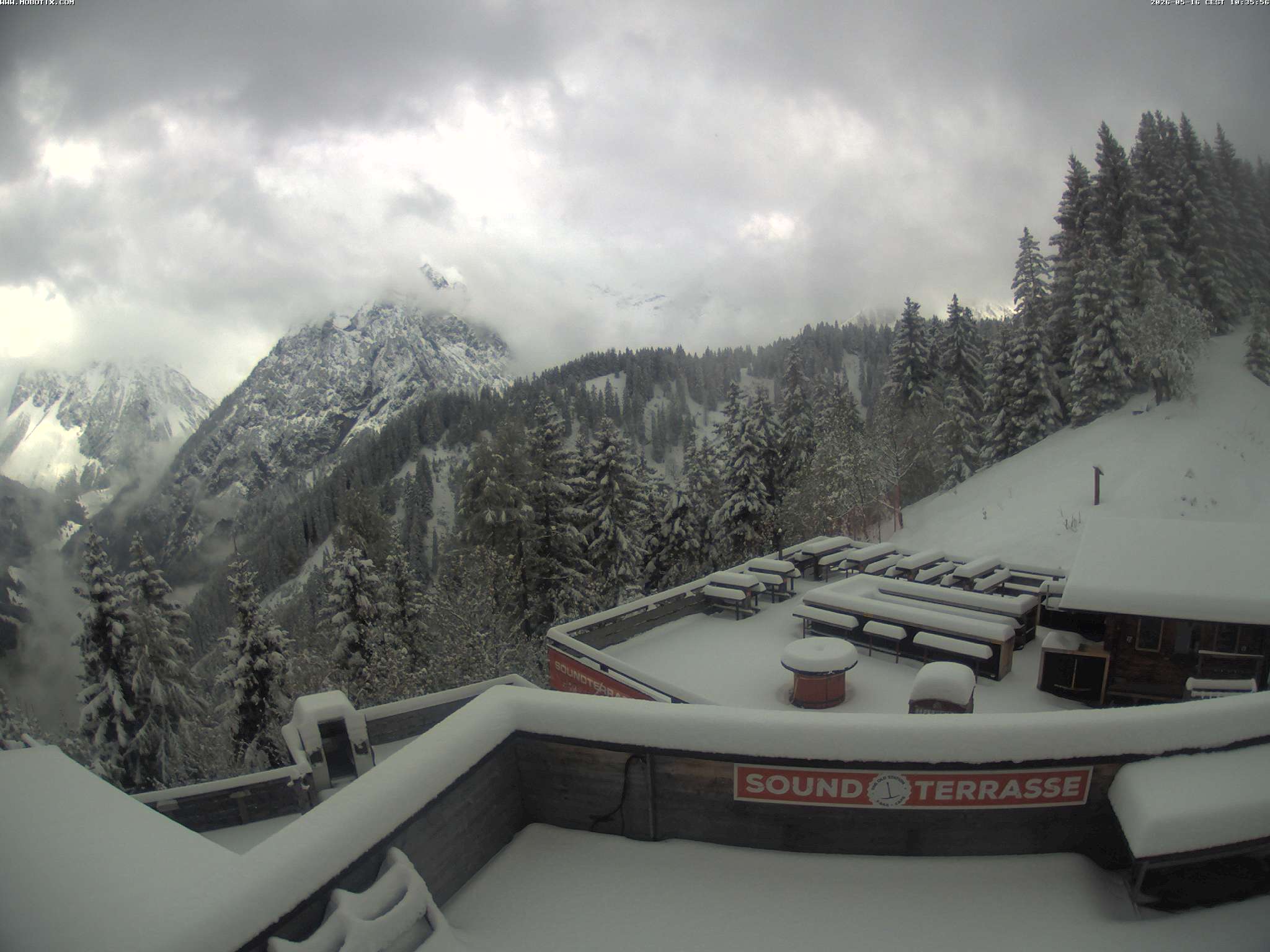 Brandnertal - Niggenkopf