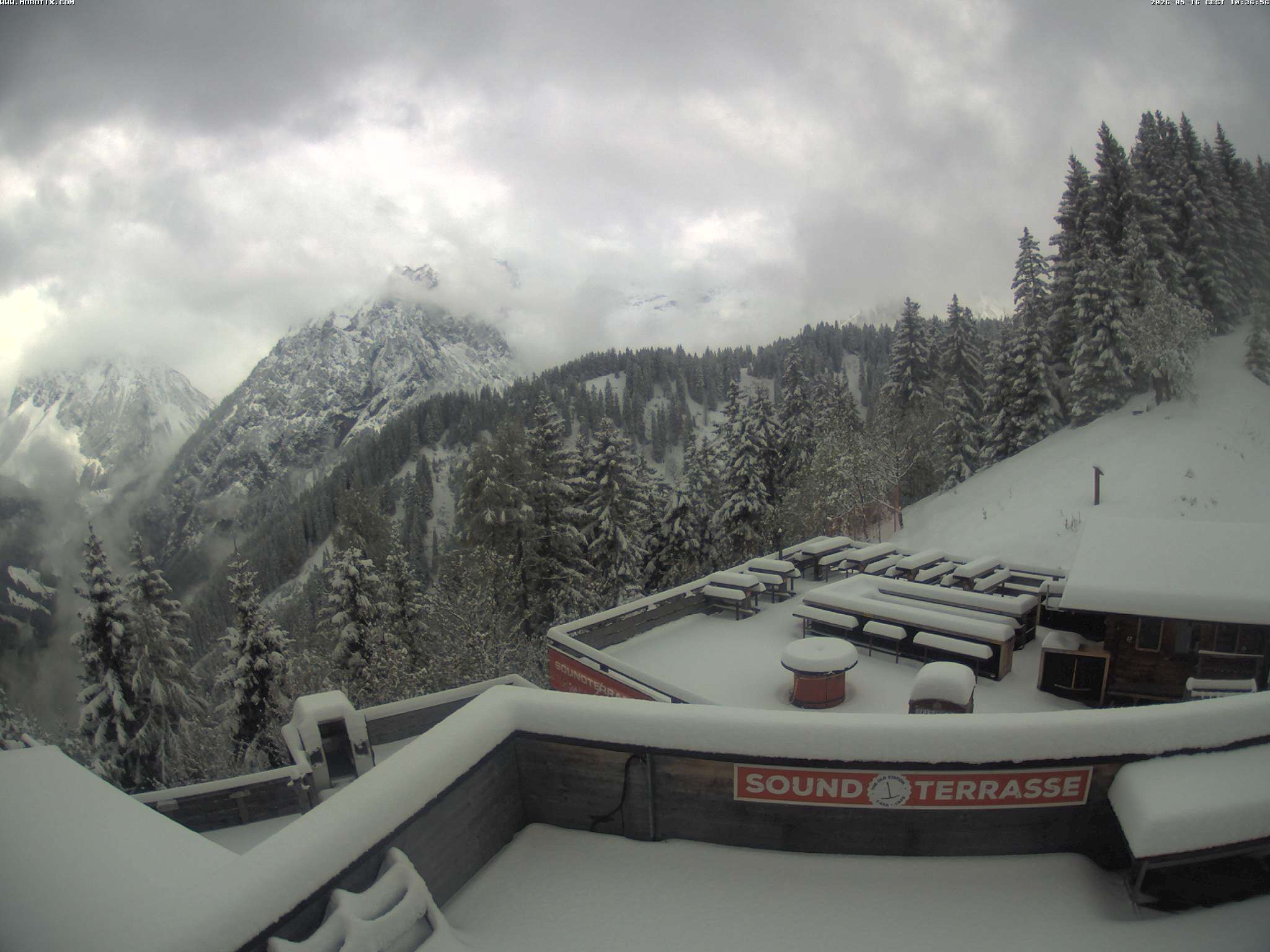 Brandnertal - Niggenkopf