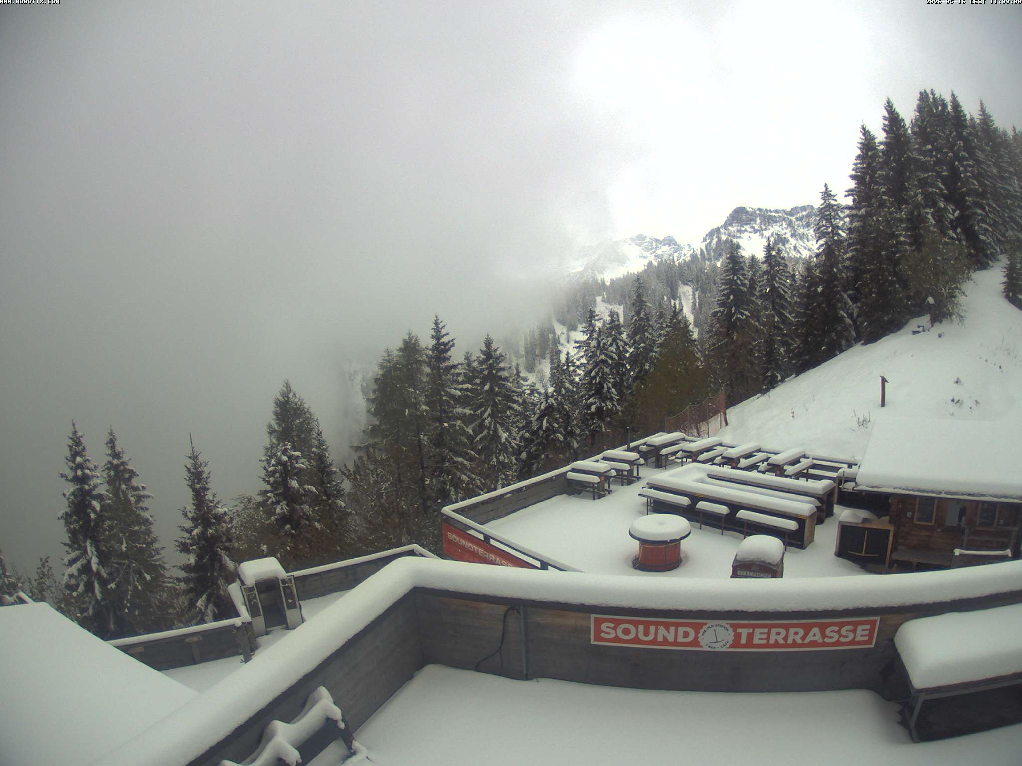 Brandnertal - Niggenkopf