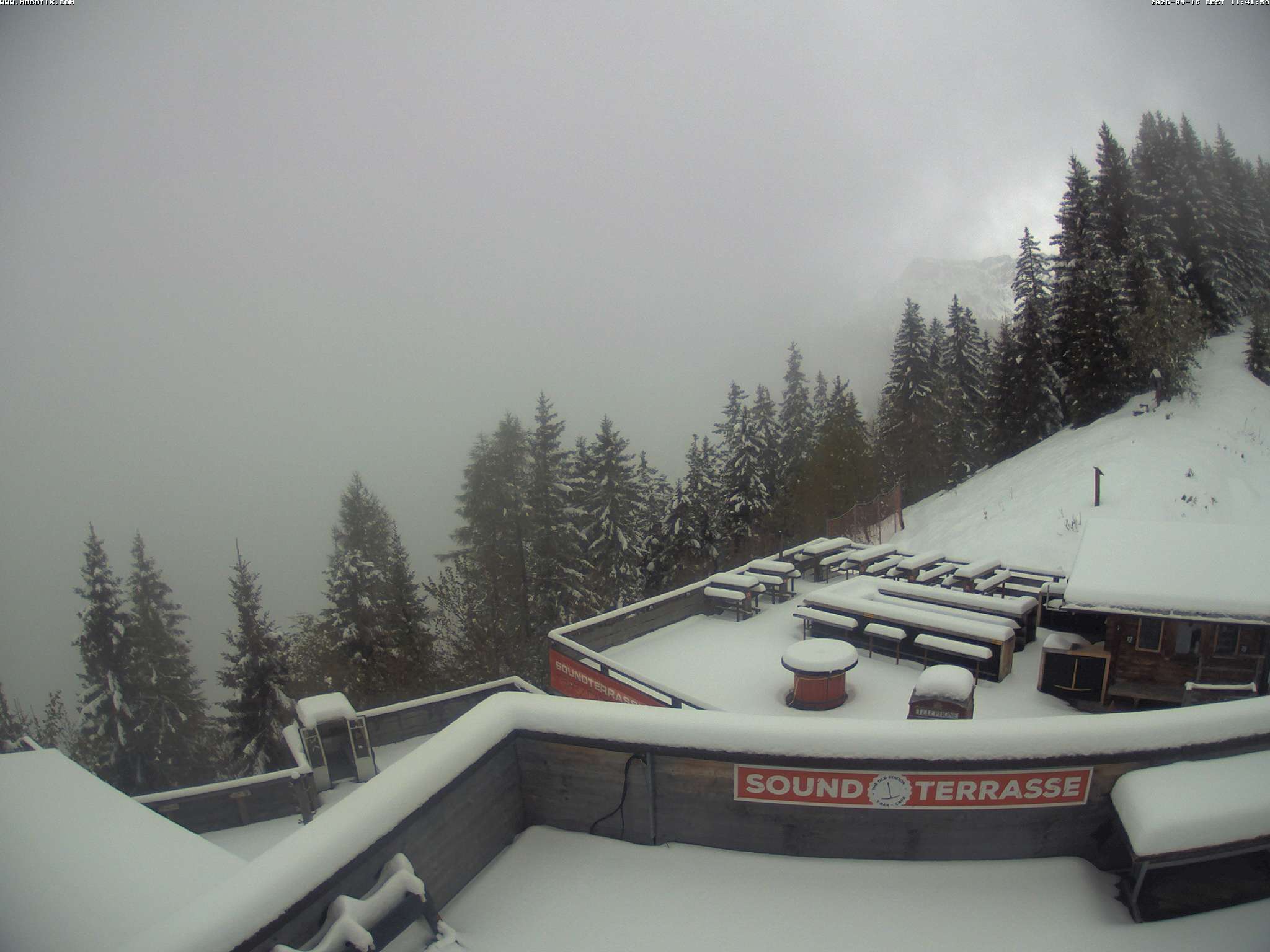 Brandnertal - Niggenkopf