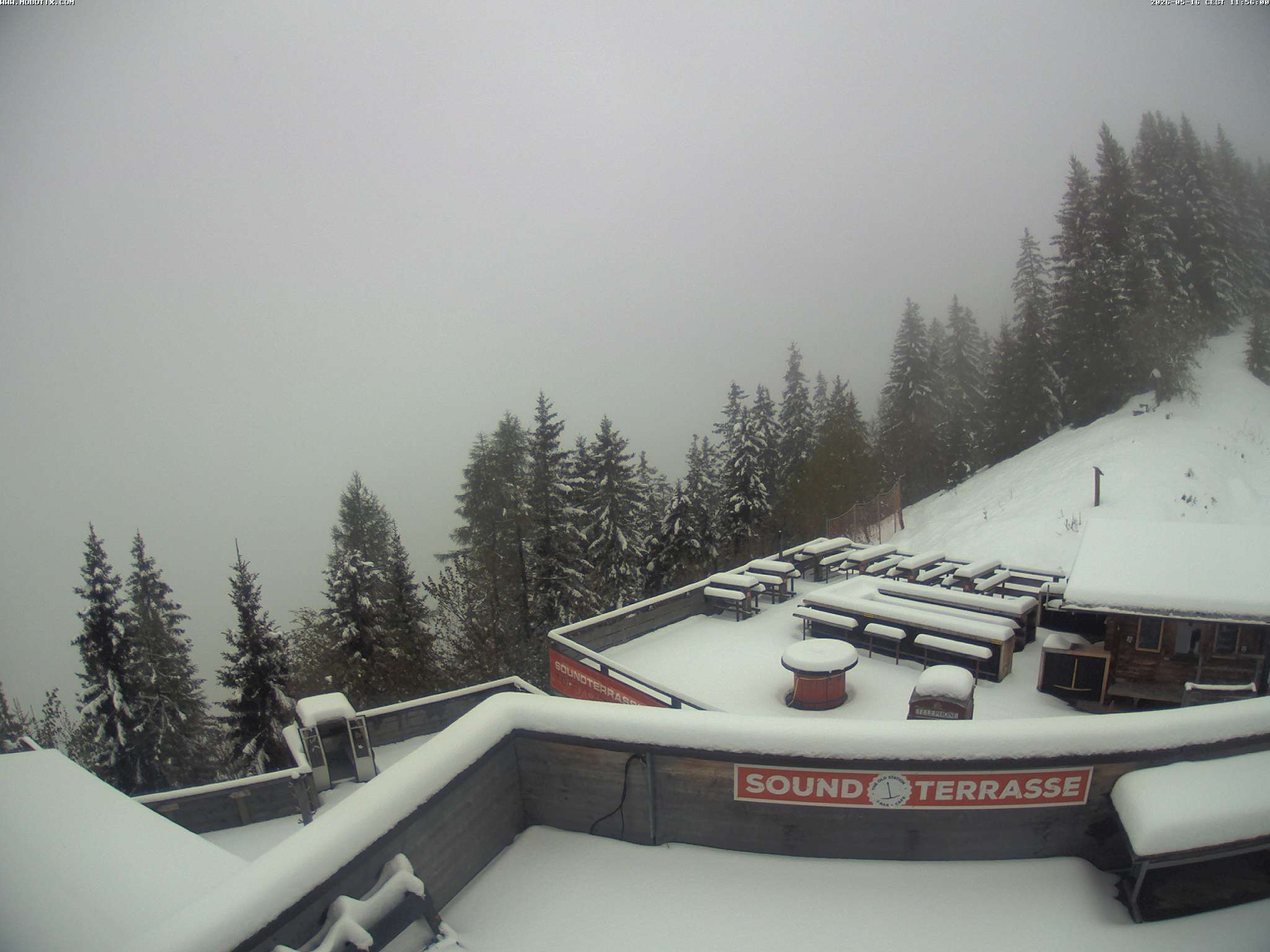 Brandnertal - Niggenkopf