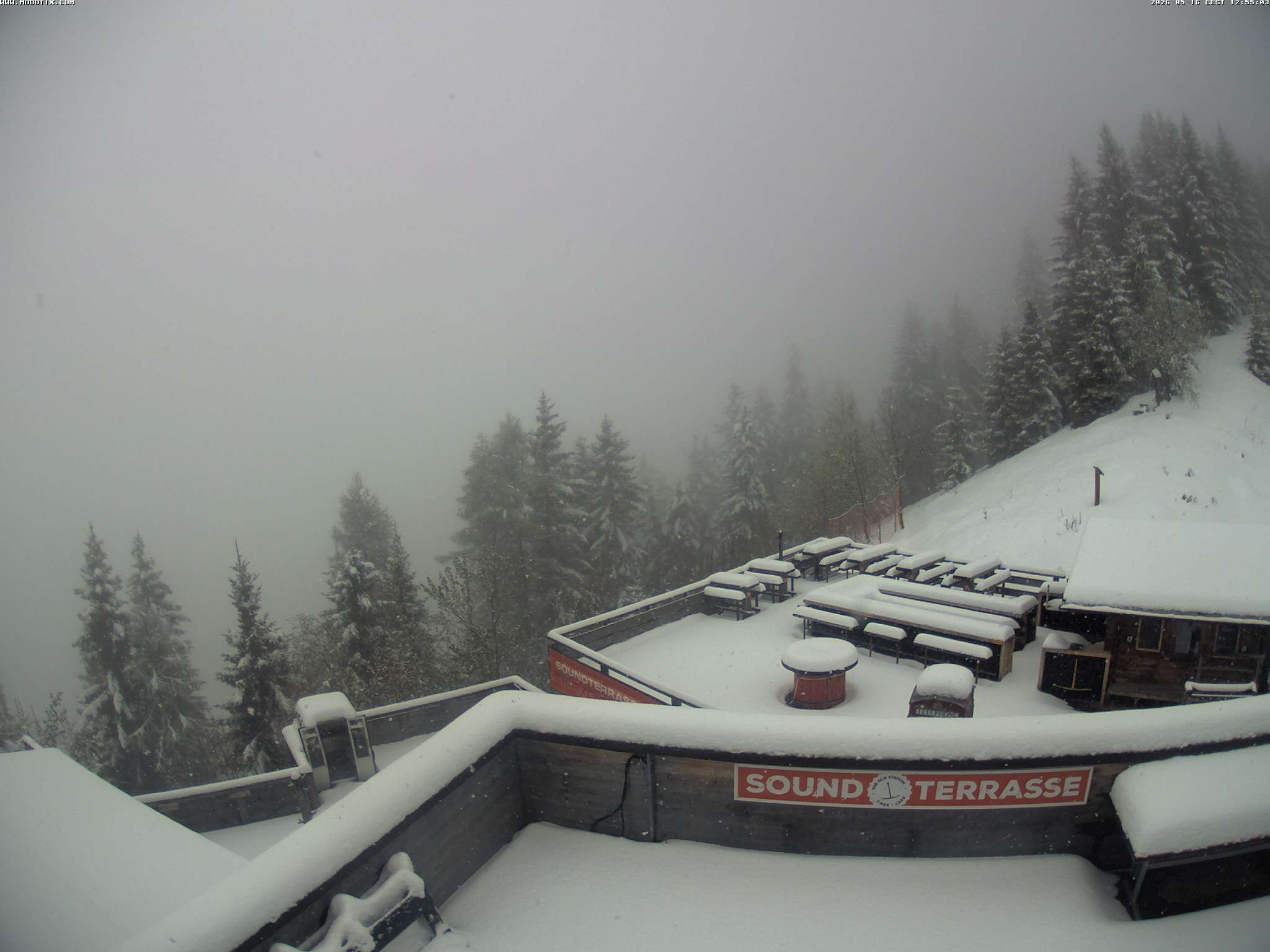 Brandnertal - Niggenkopf