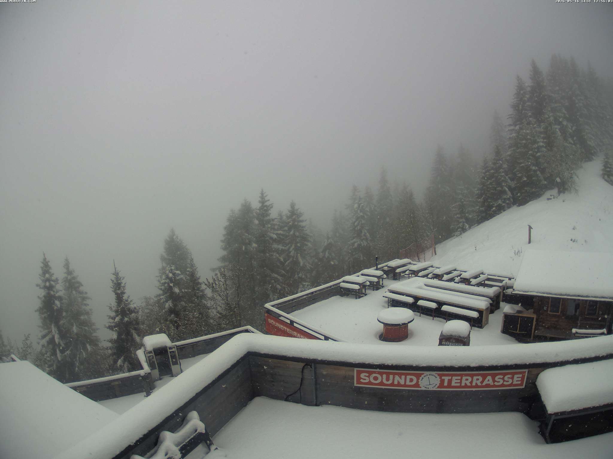 Brandnertal - Niggenkopf
