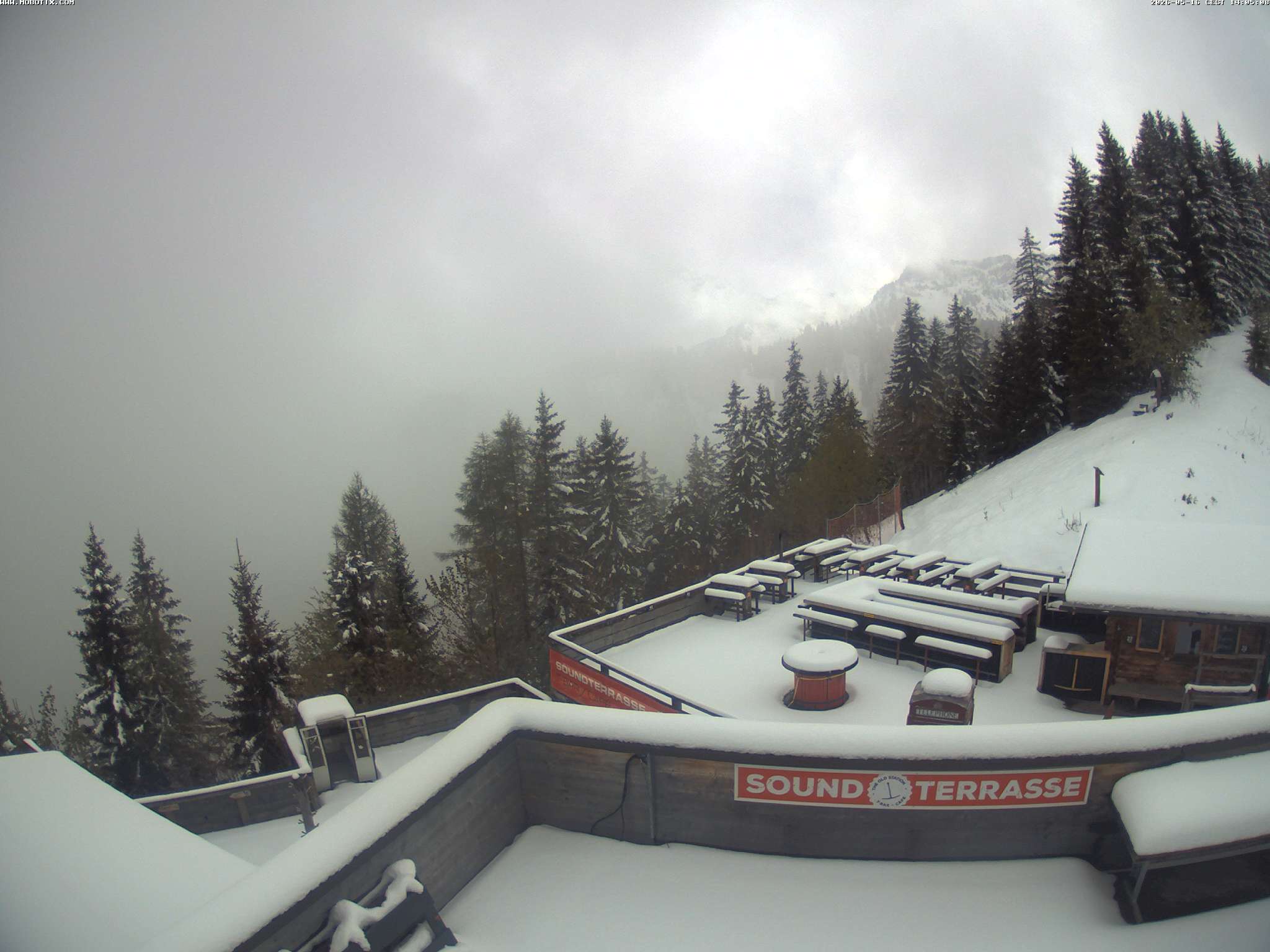 Brandnertal - Niggenkopf