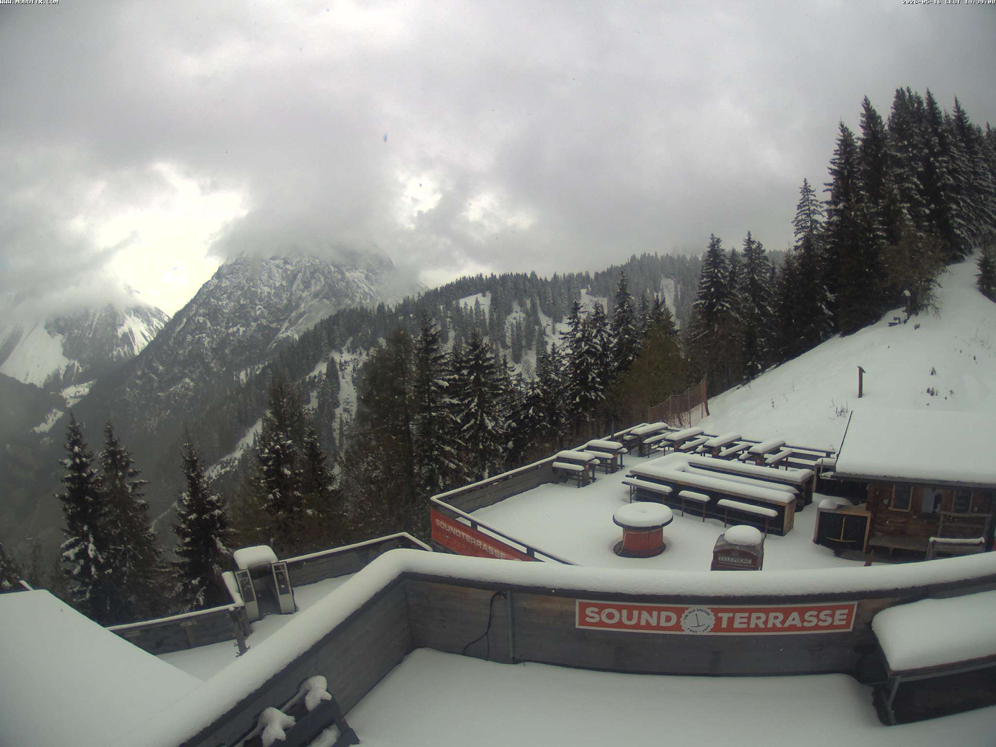 Brandnertal - Niggenkopf