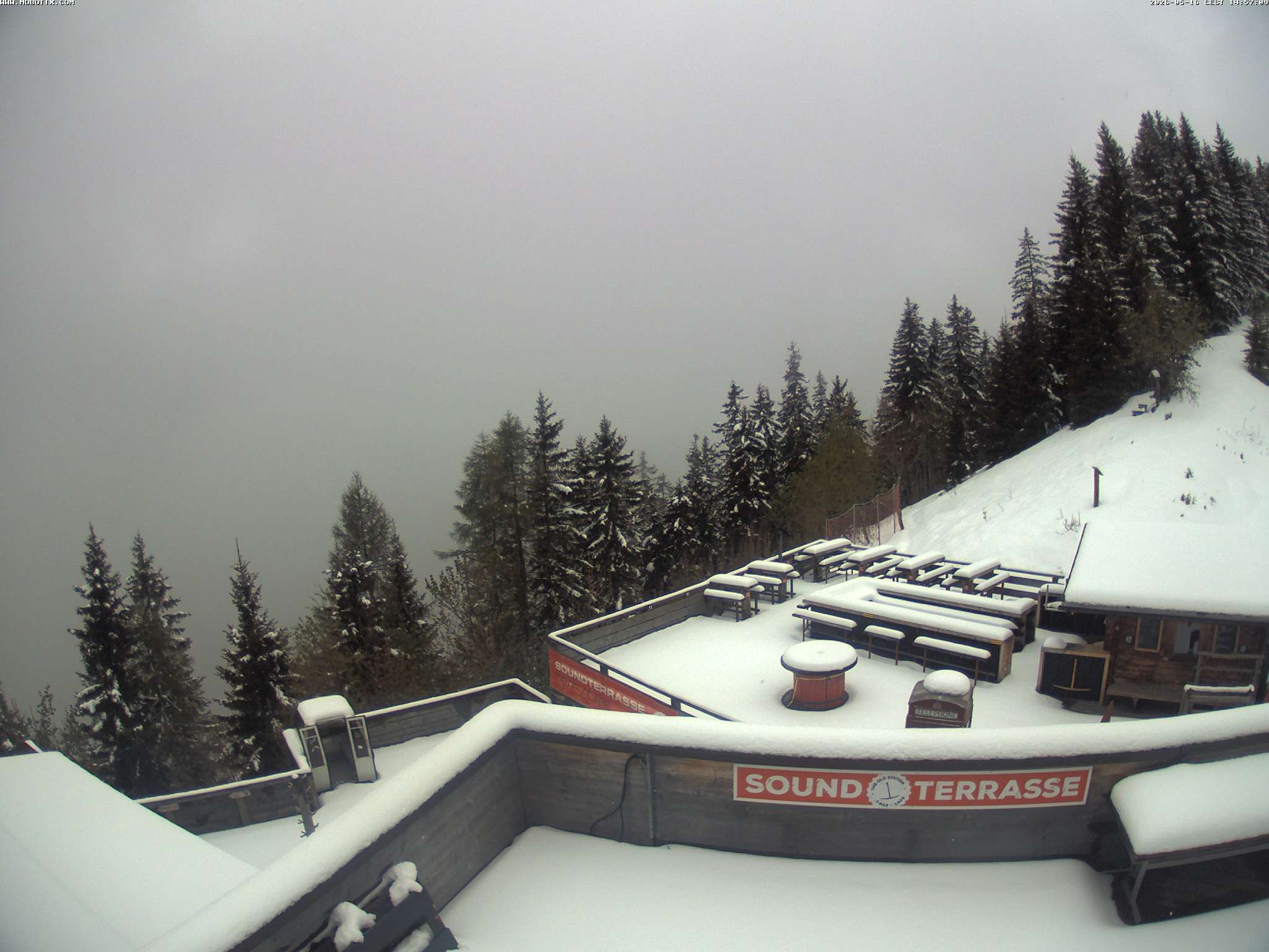 Brandnertal - Niggenkopf