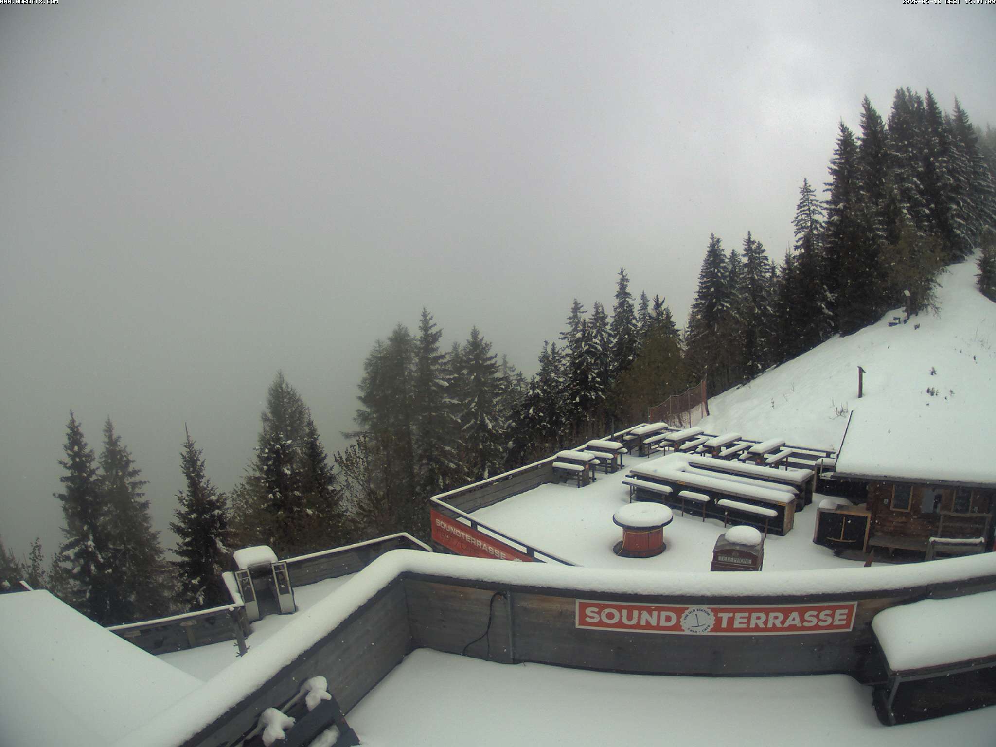 Brandnertal - Niggenkopf