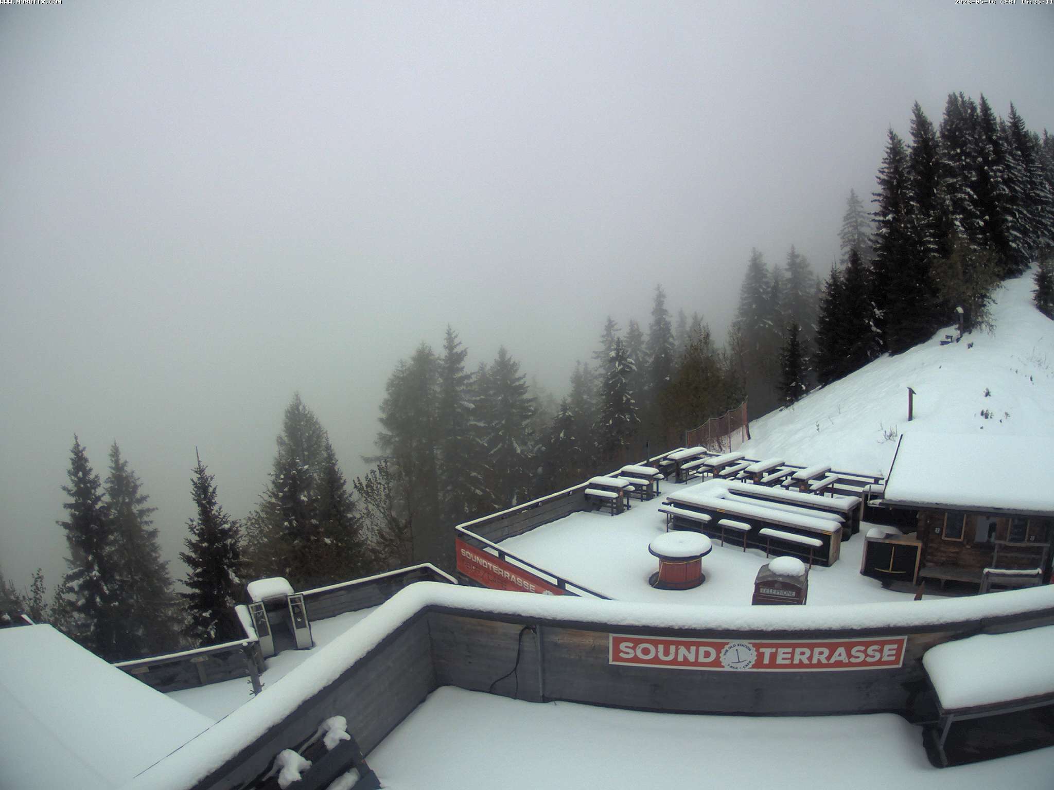 Brandnertal - Niggenkopf