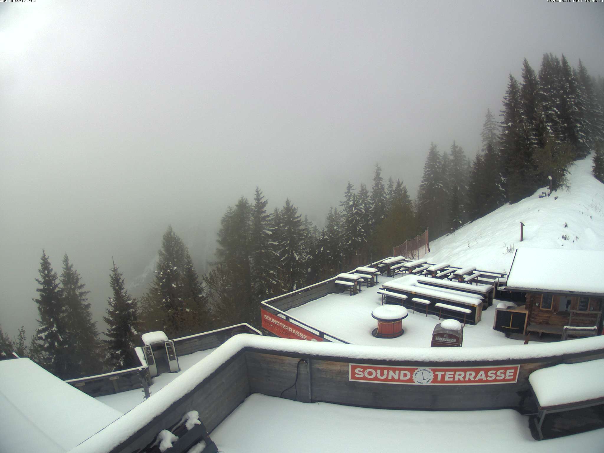 Brandnertal - Niggenkopf