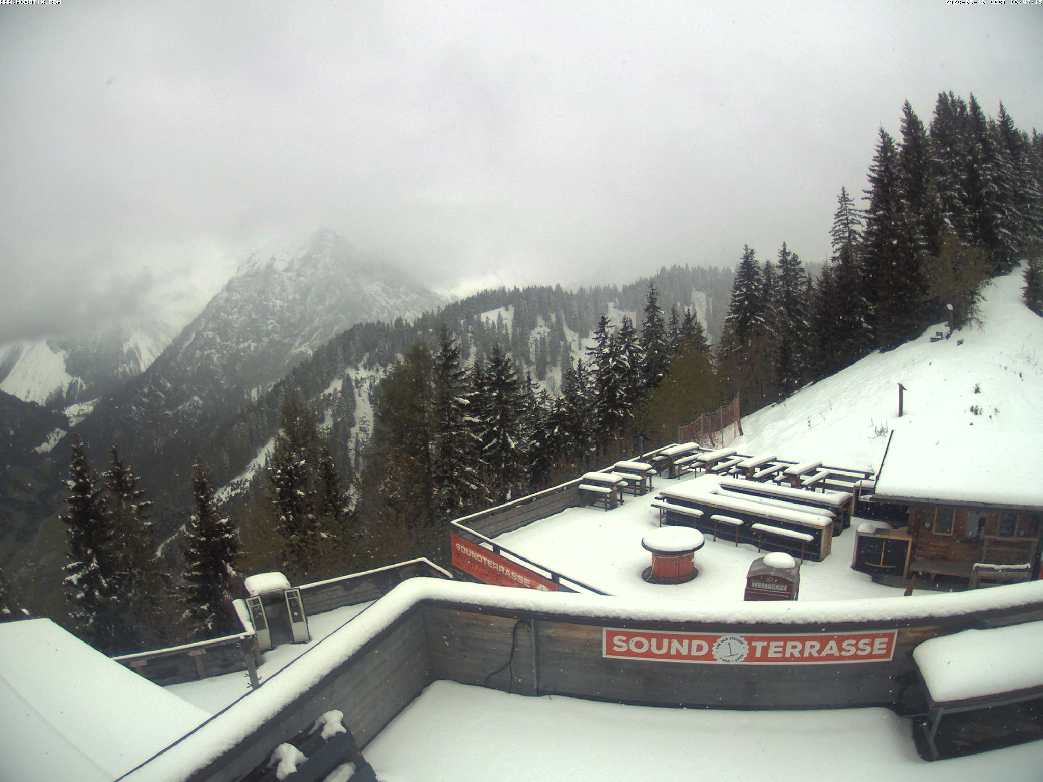 Brandnertal - Niggenkopf