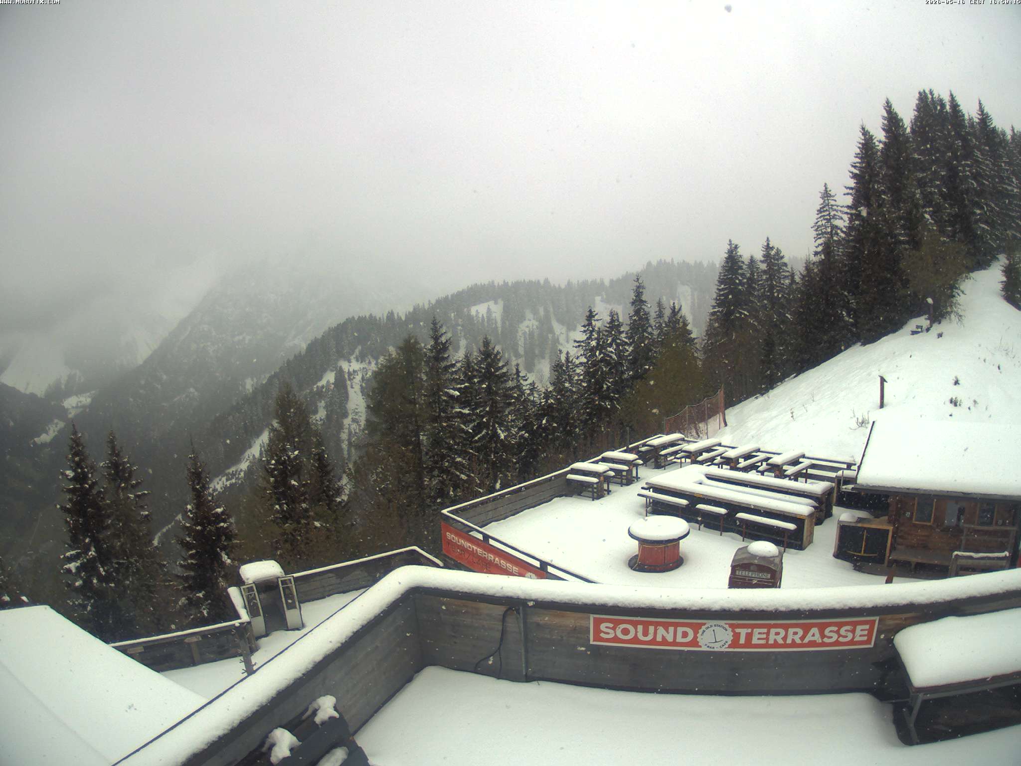 Brandnertal - Niggenkopf