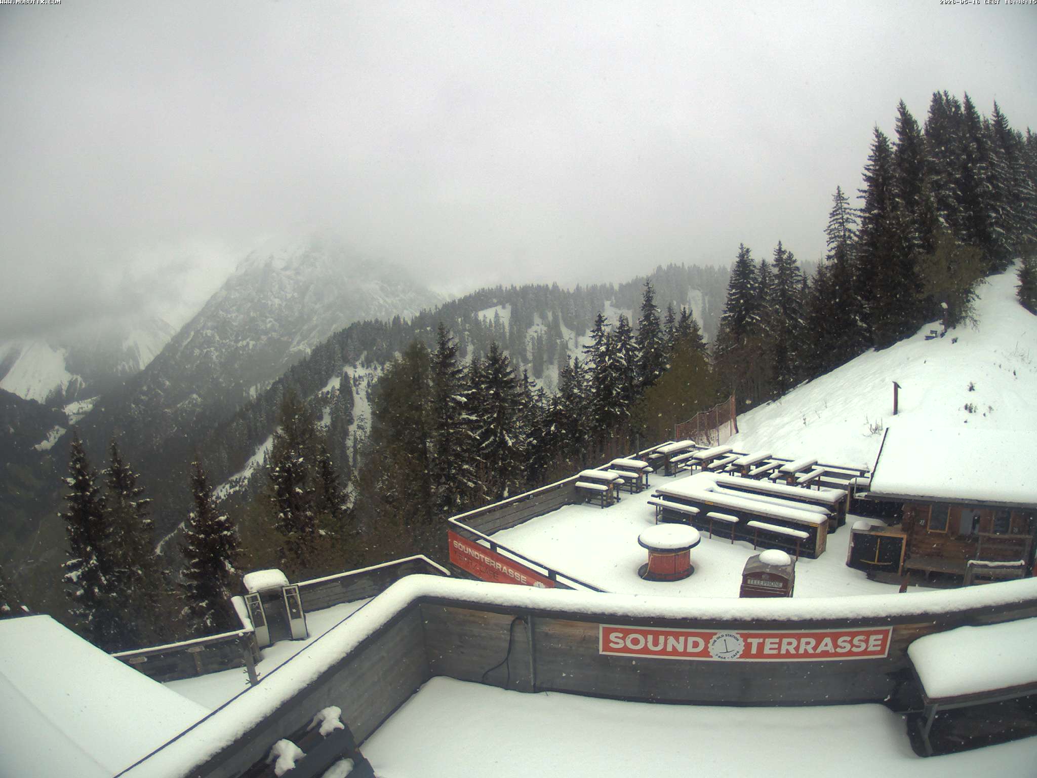 Brandnertal - Niggenkopf