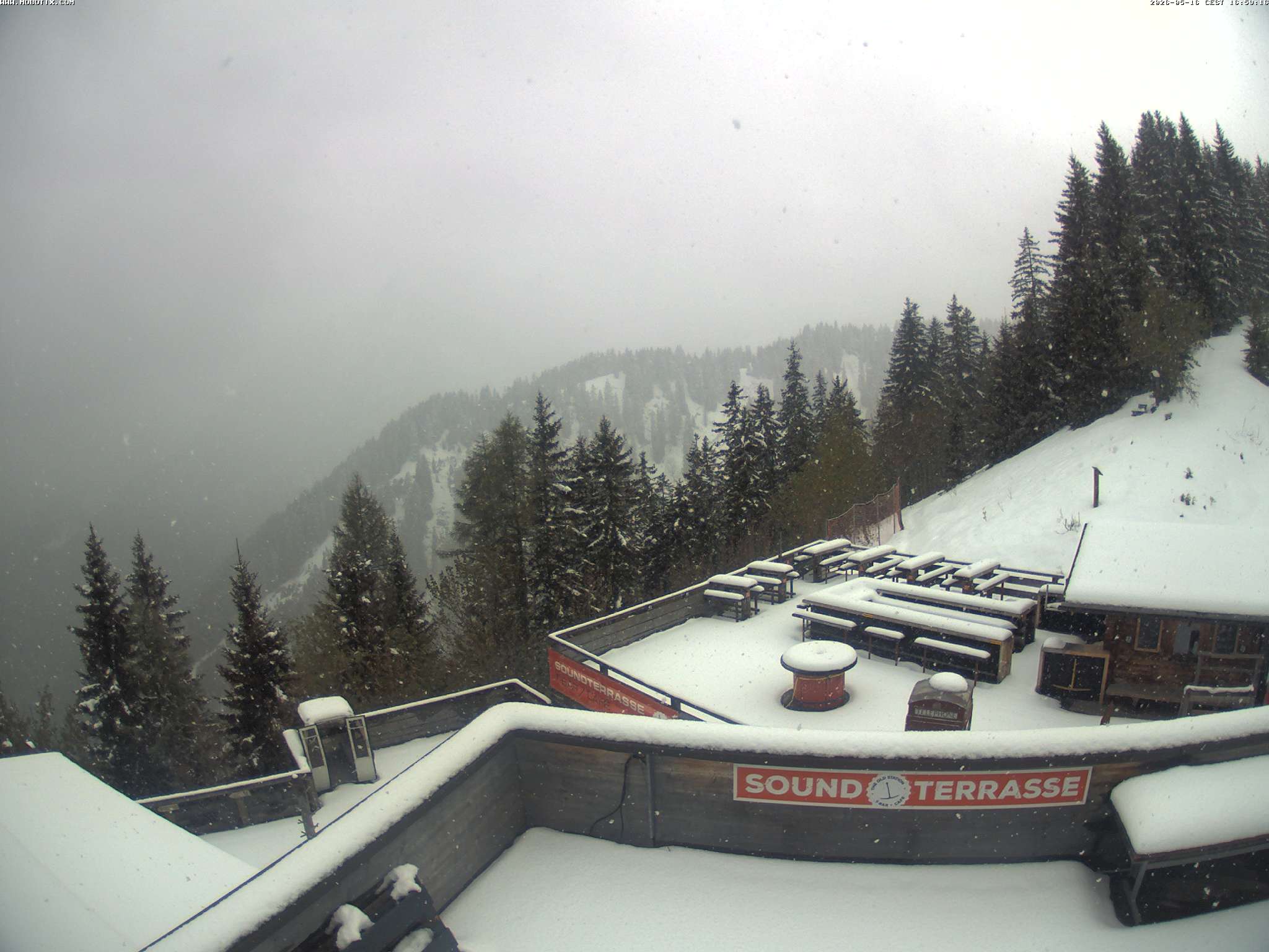 Brandnertal - Niggenkopf