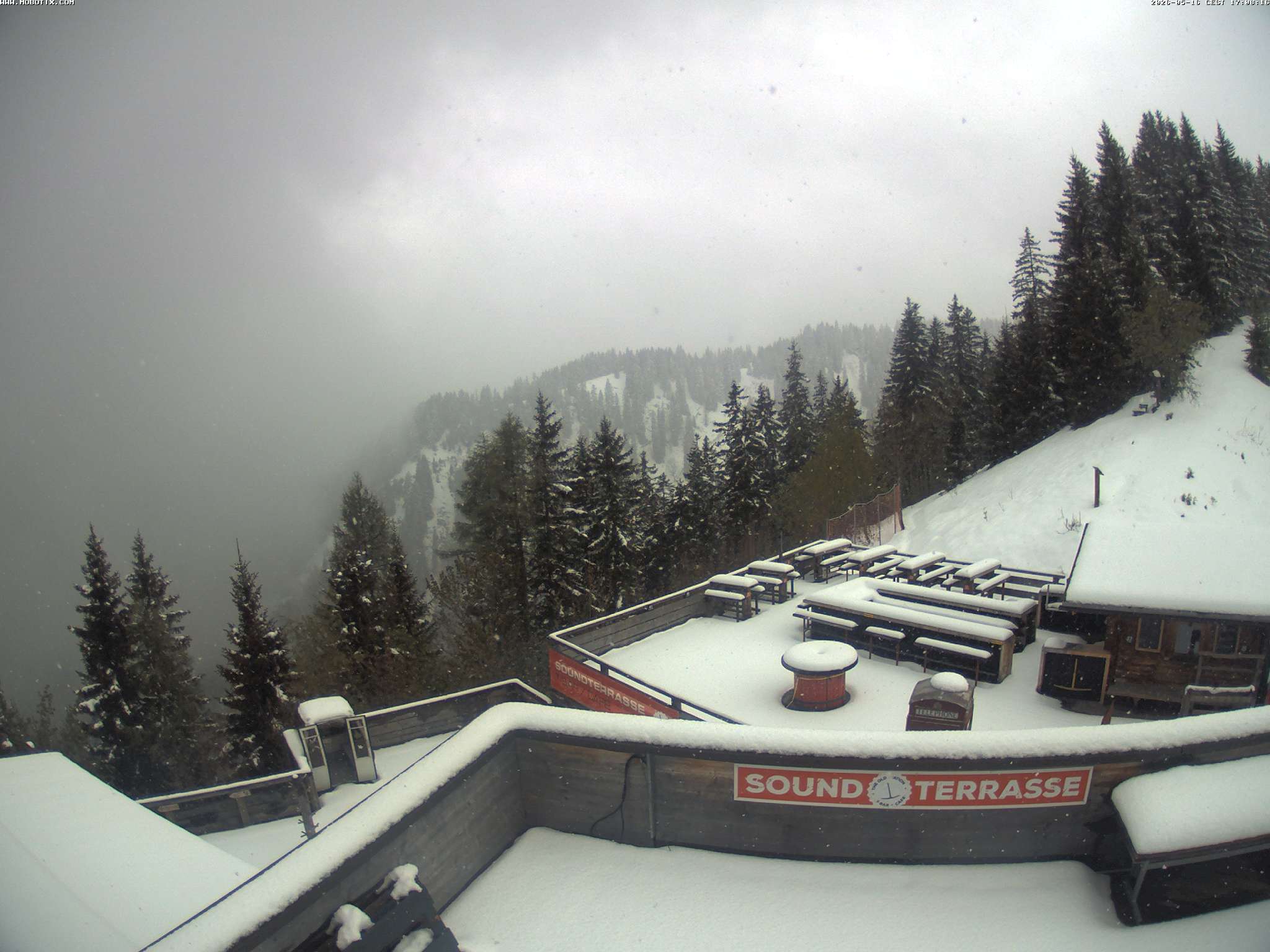 Brandnertal - Niggenkopf