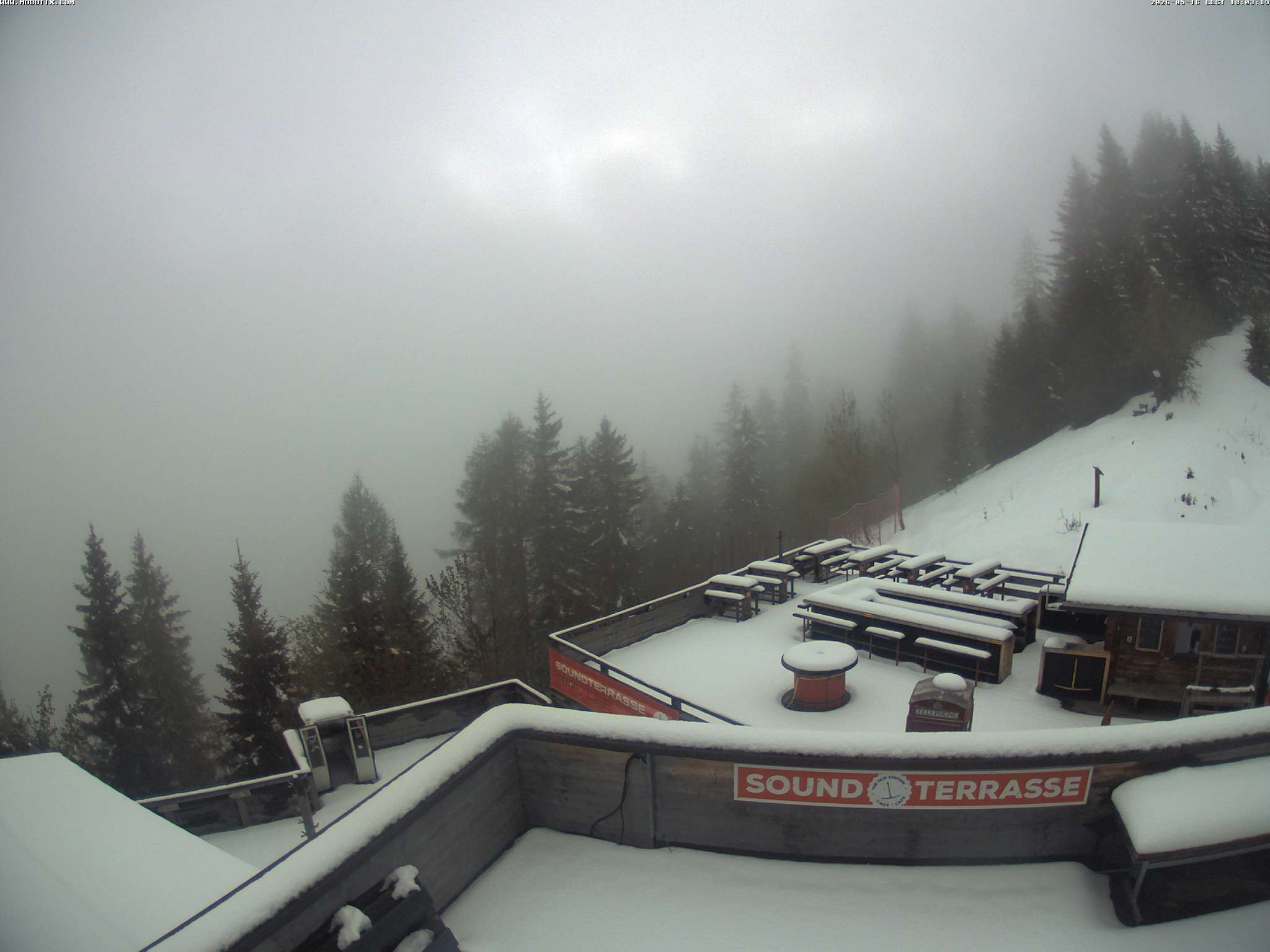 Brandnertal - Niggenkopf