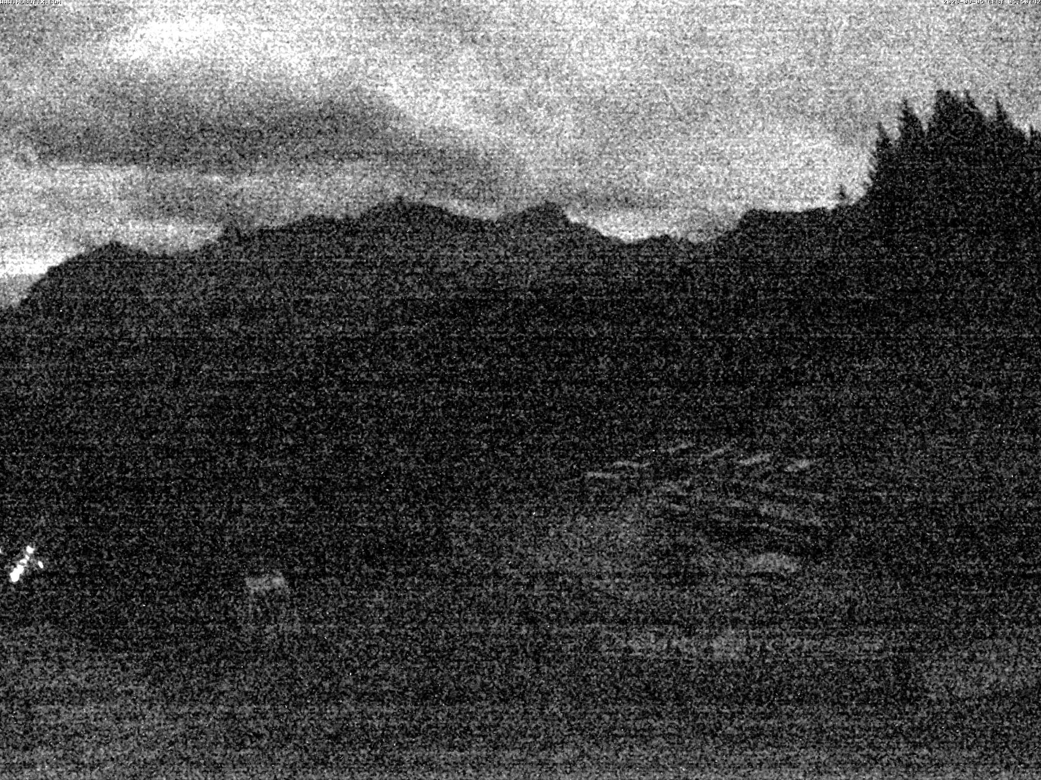 Brandnertal - Niggenkopf