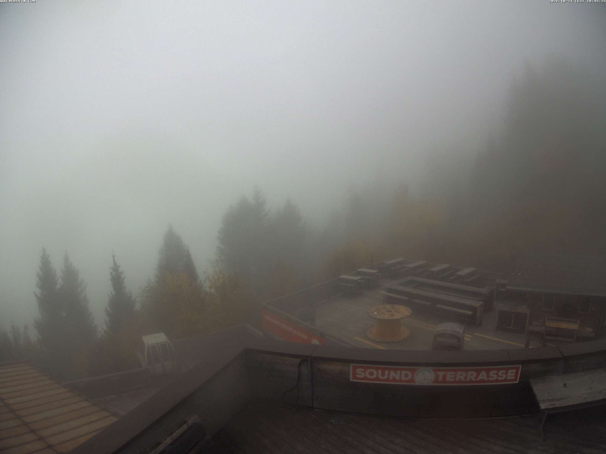 Brandnertal - Niggenkopf